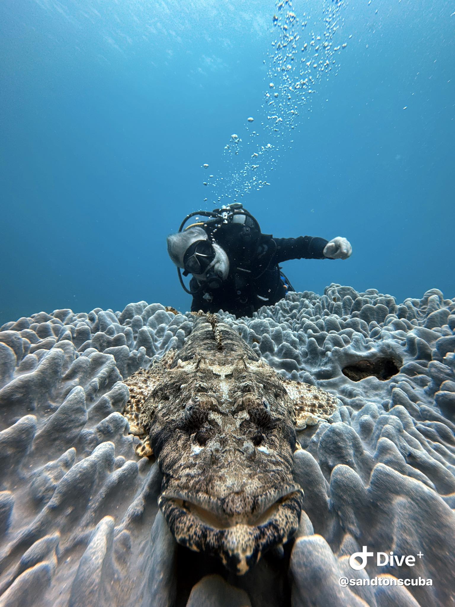 SANDTON SCUBA Group | Facebook