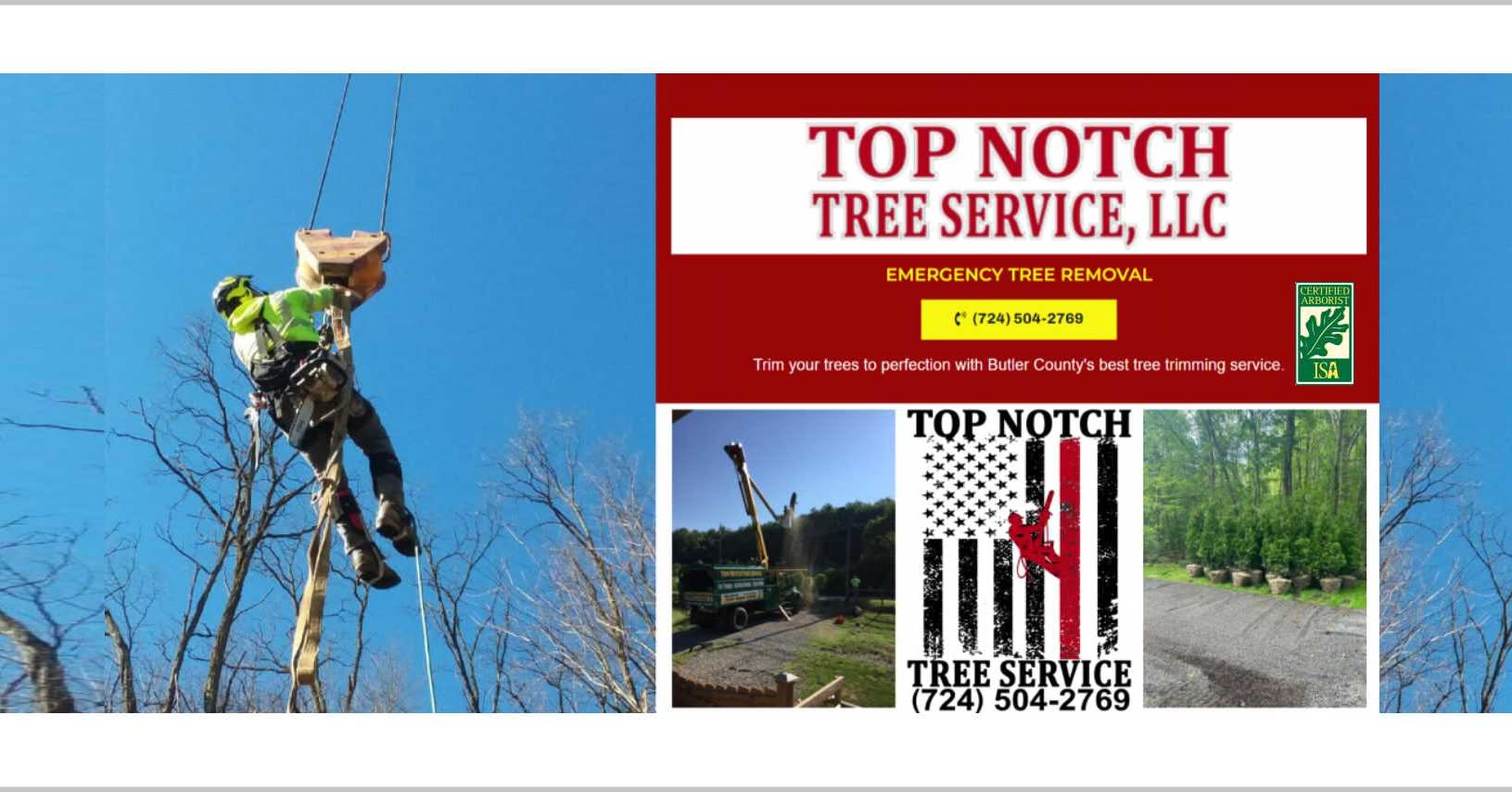 Top Notch Tree Service | West Sunbury PA