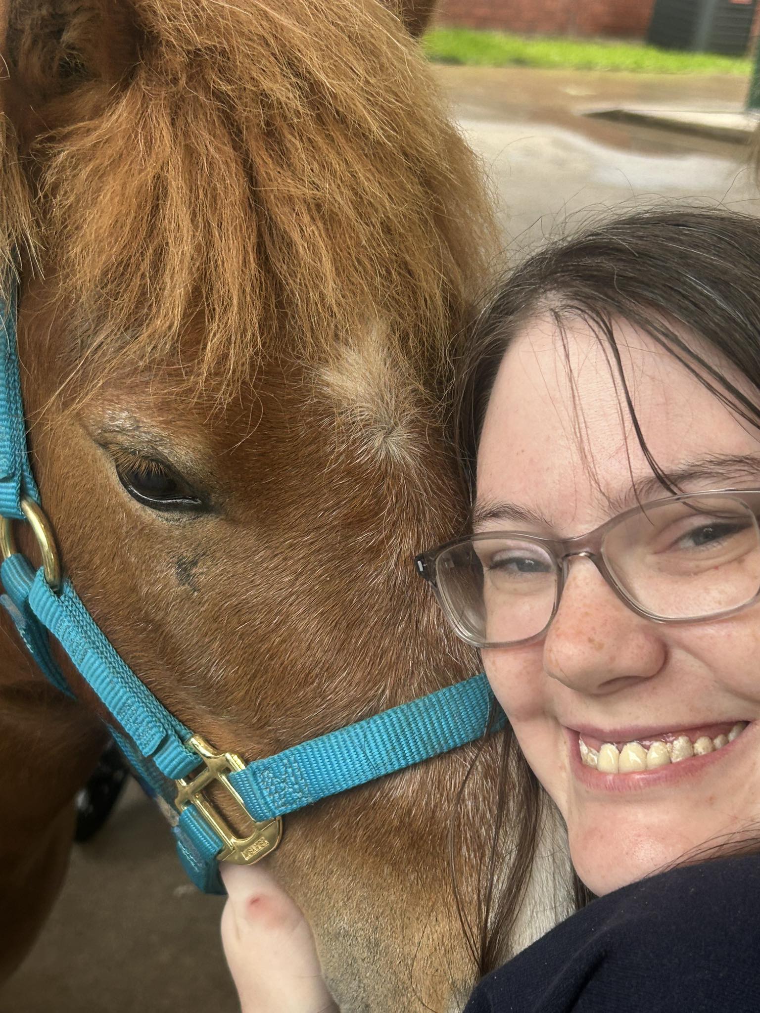The Village at Heritage... - The Village at Heritage Oaks