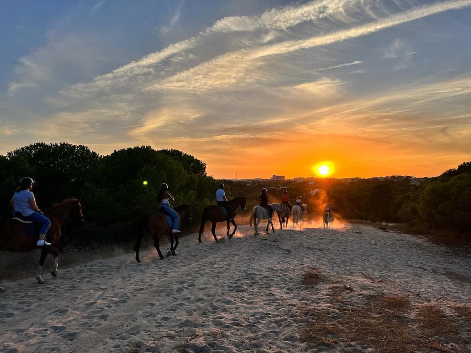 Country Riding Centre added a new... - Country Riding Centre