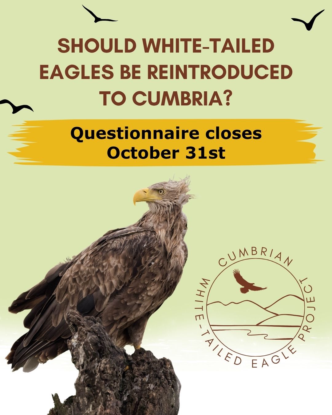 The Lifescape - One week left to share your views on the Cumbrian White ...