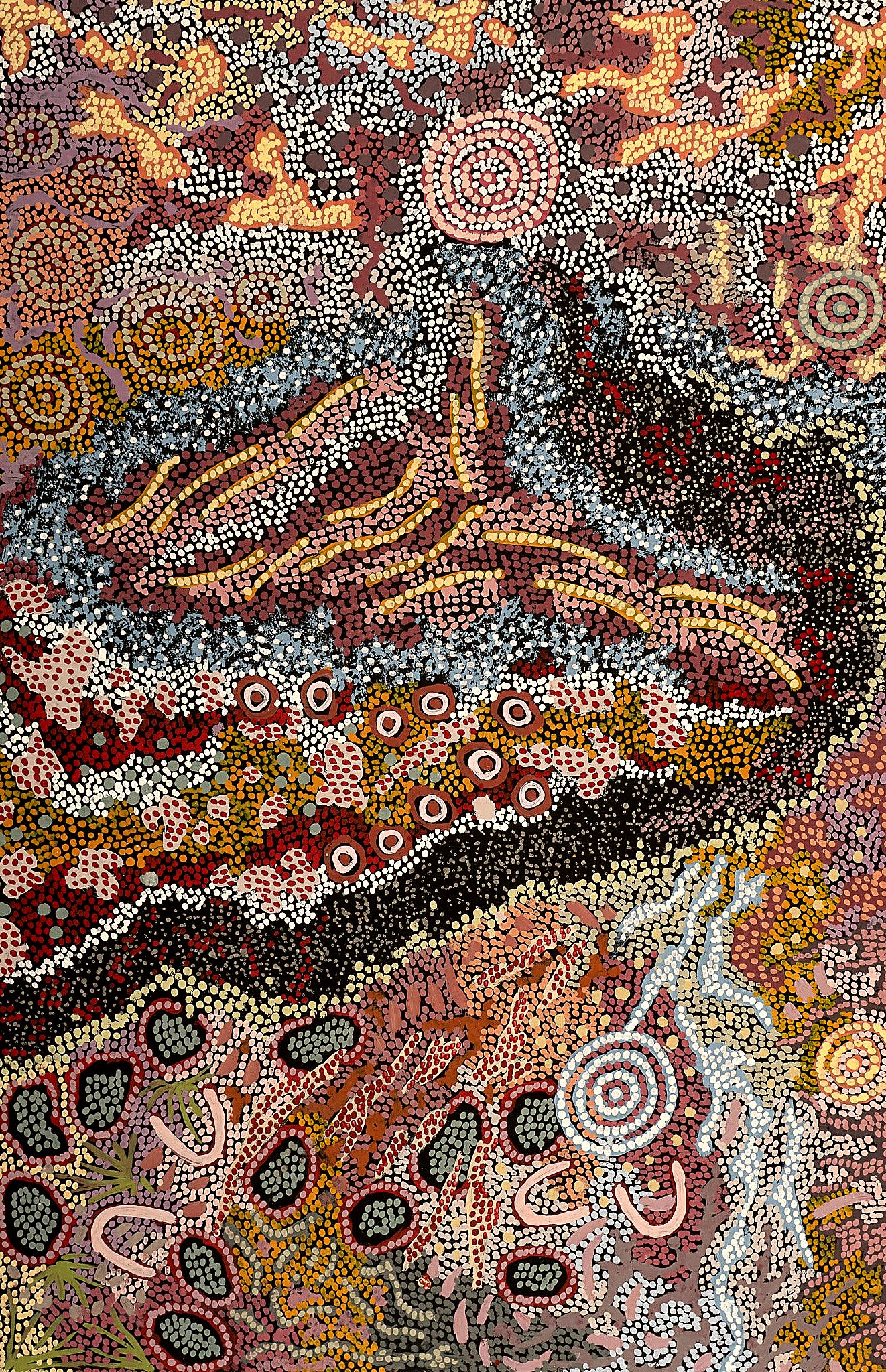 The bands of dots that sweep across Julie Nangala Robertson's