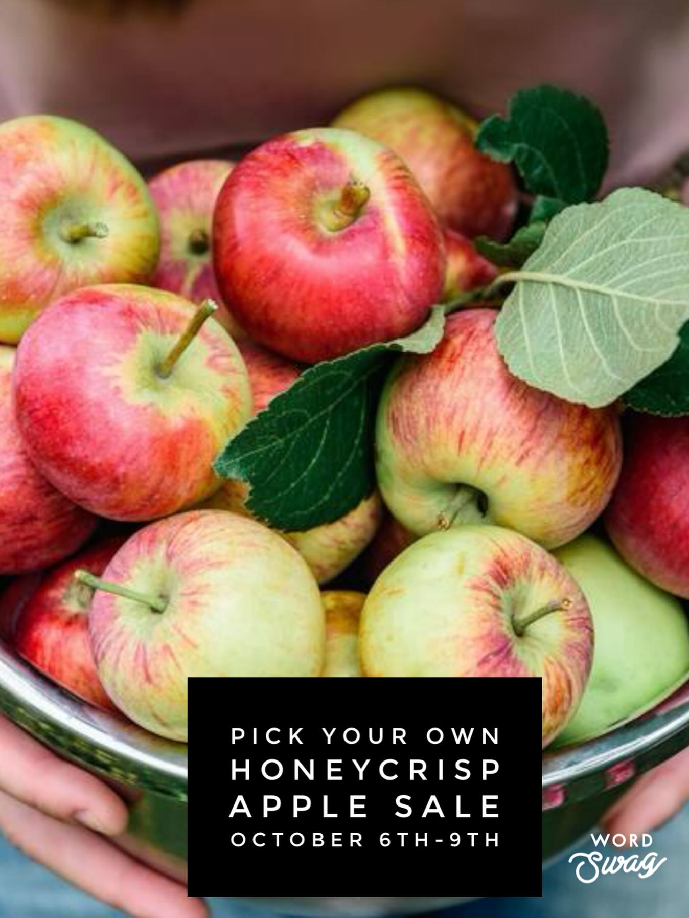 Join us October 6th-9th 2025 for our... - Mt. View Orchards | Facebook