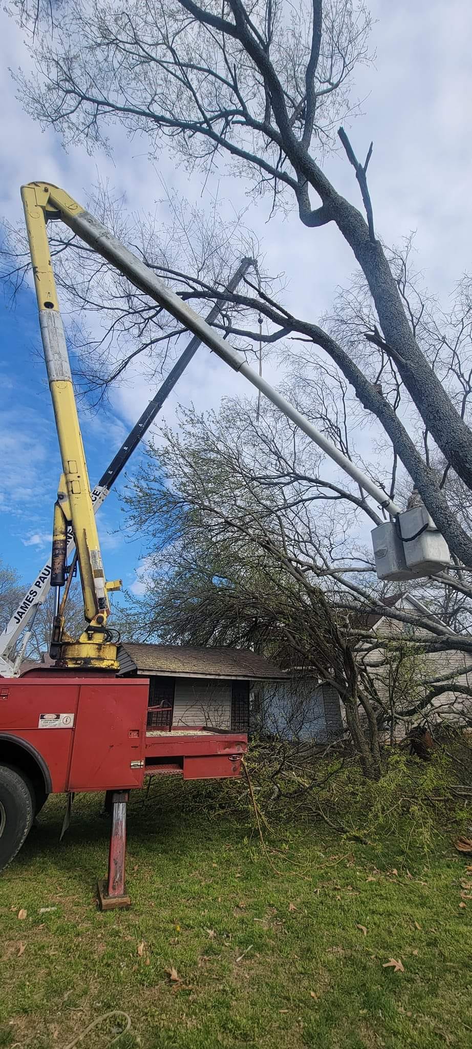 Adams Tree Removal Svc | Athens AL