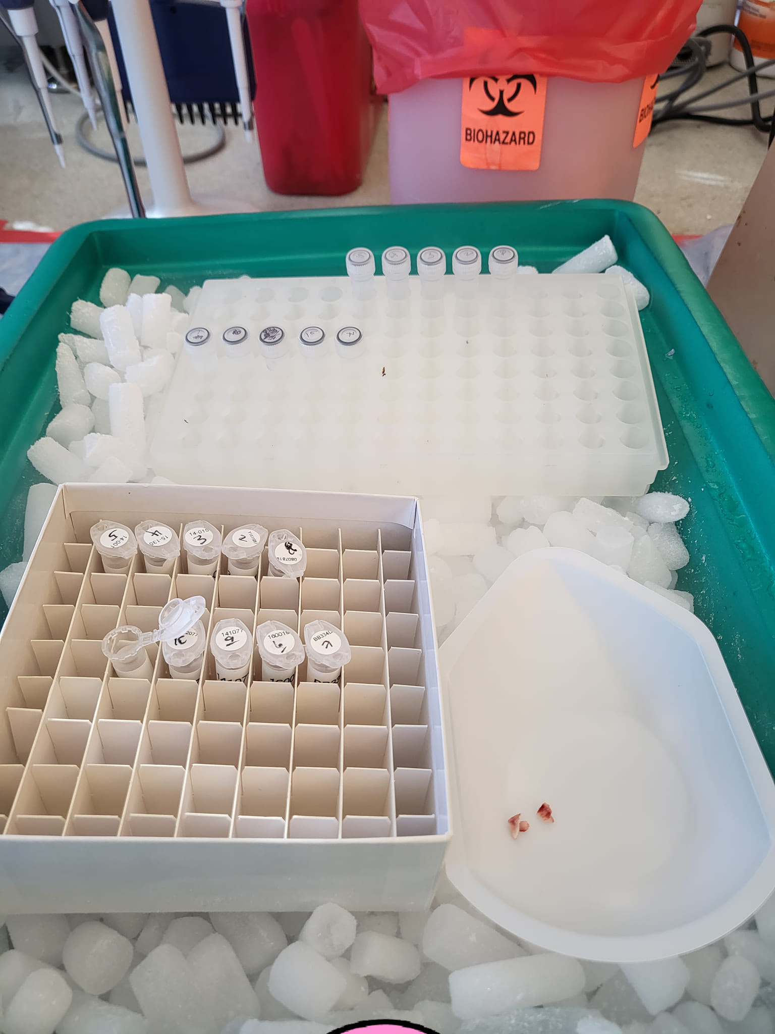 A day in the life. Most times, before... - Science In Color | Facebook
