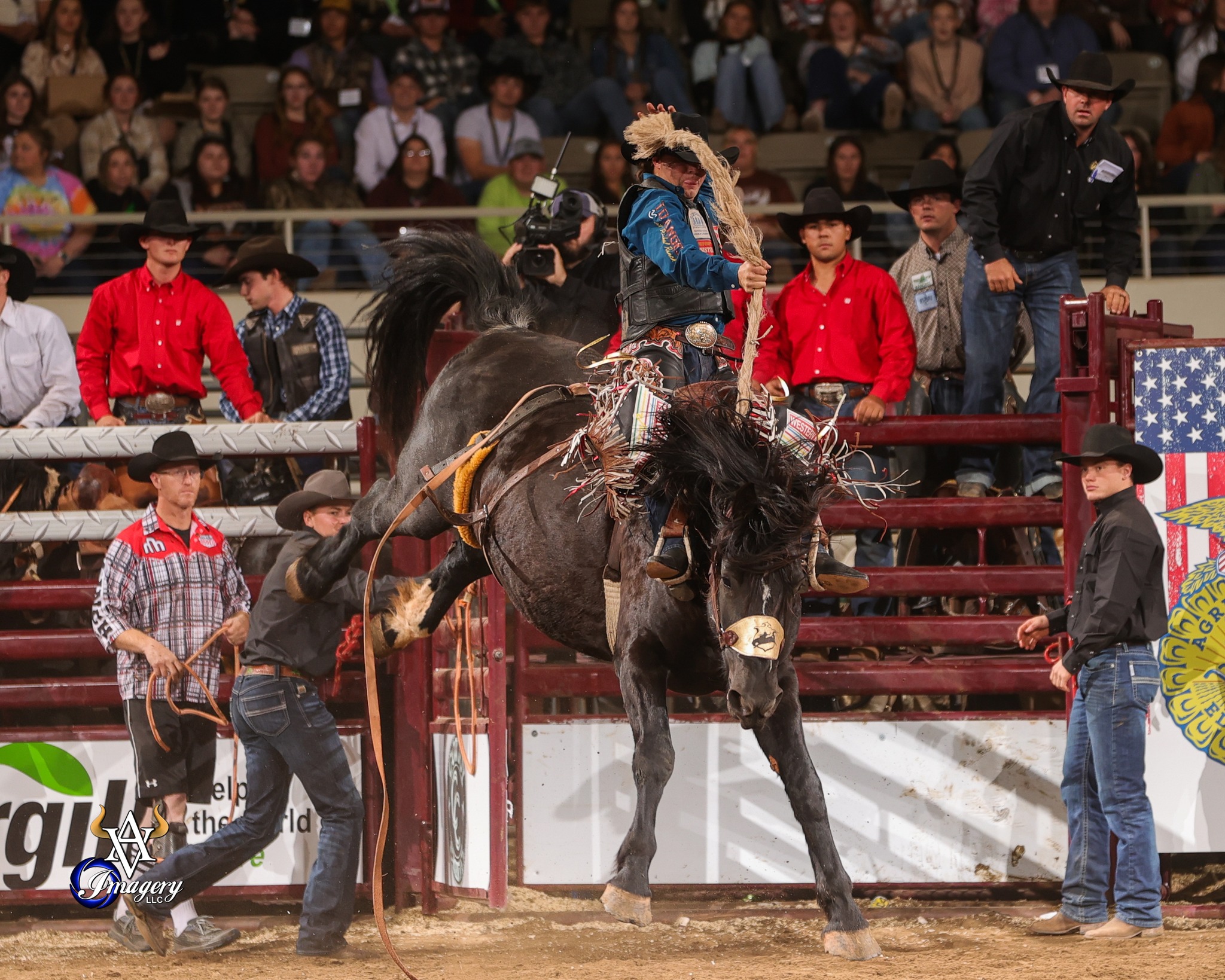 New Flash... It is... - Avid Visual Imagery Rodeo Photography