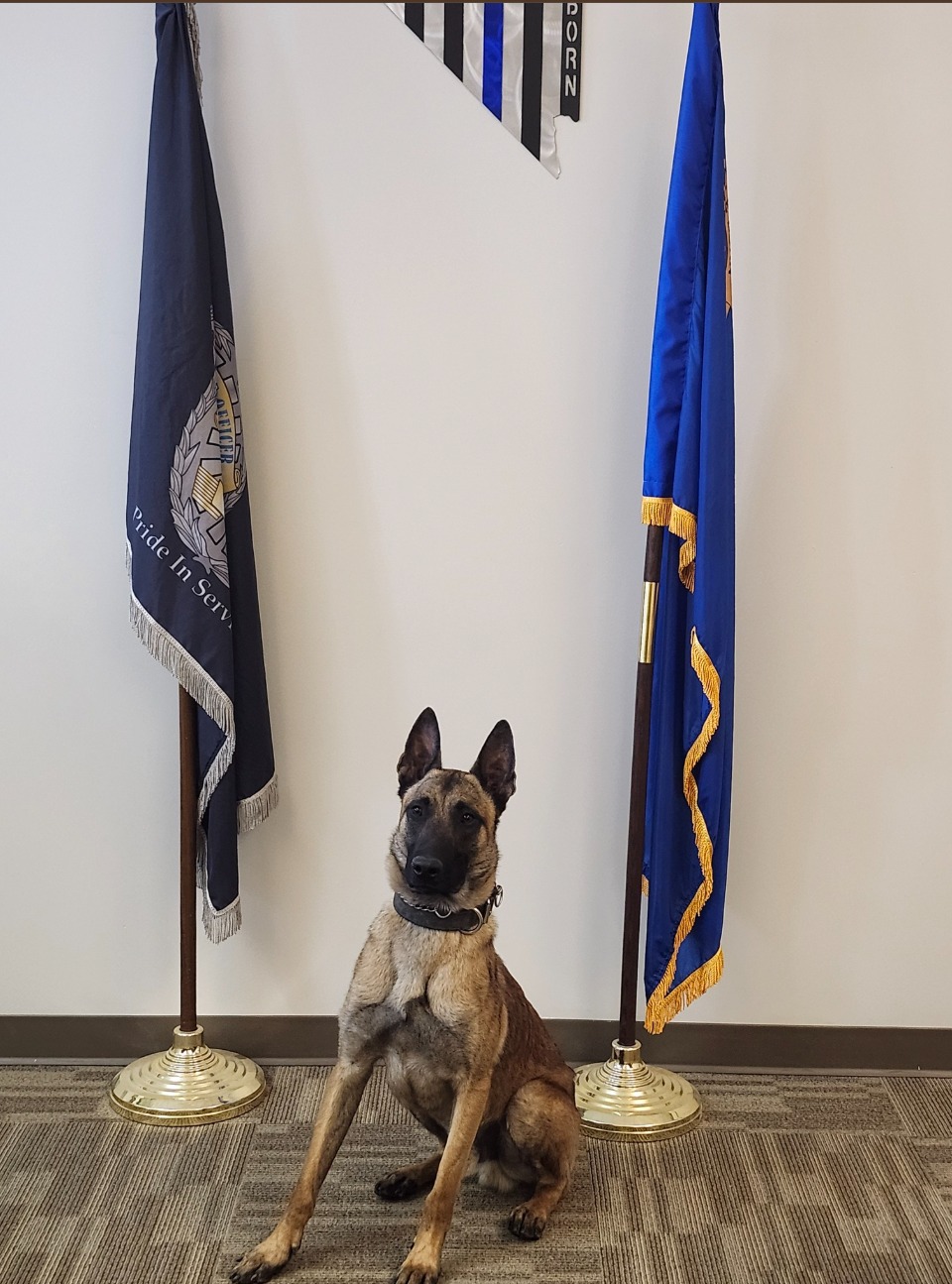 K9 - 🥰A couple of weeks ago, we introduced you to K-9 Rudy. Today, we ...