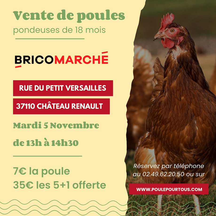 Sitemapcdatahttpfedykniqoocomgrillage A Poule Bricomarche