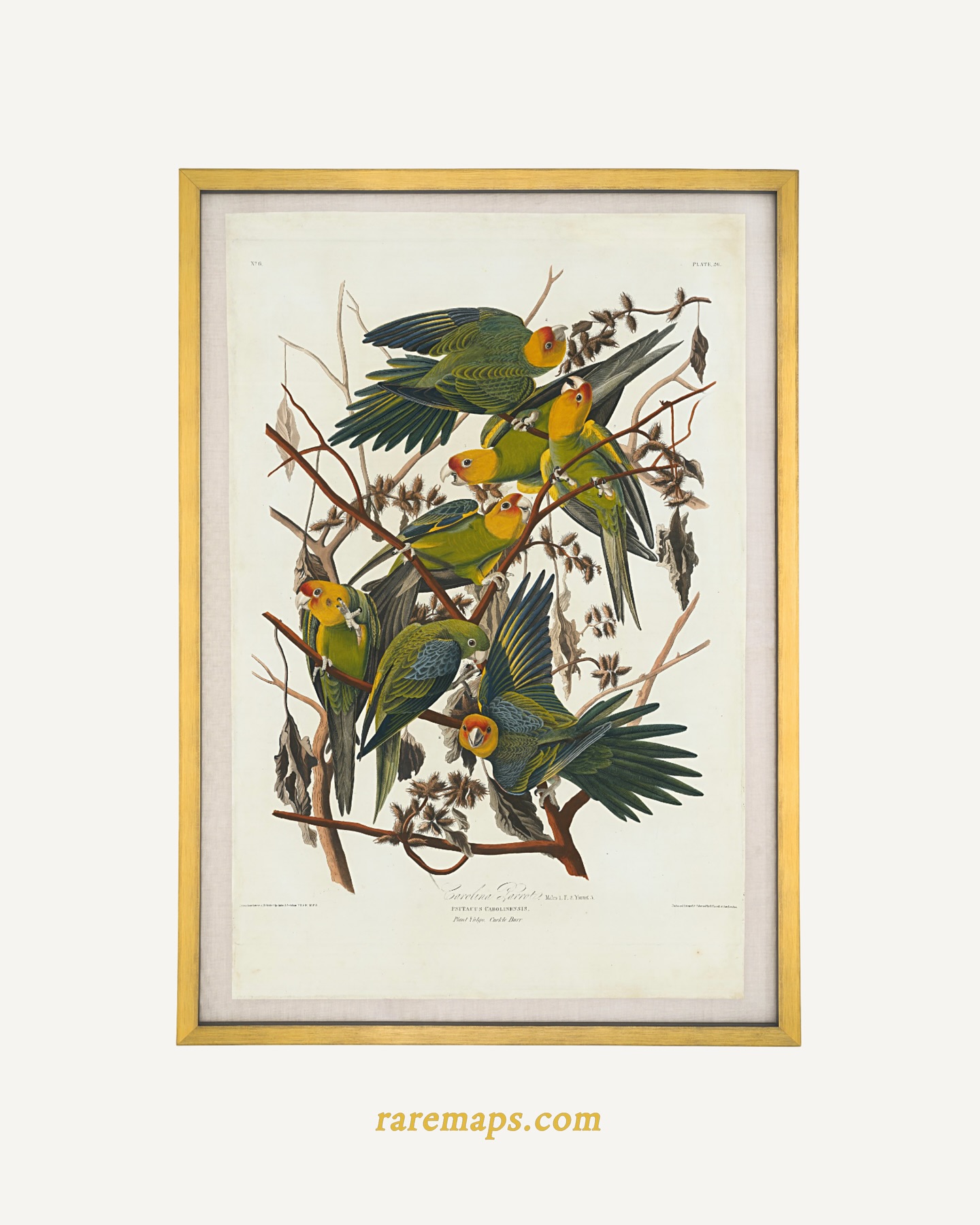 Barry Lawrence Ruderman Antique Maps | La Jolla CA