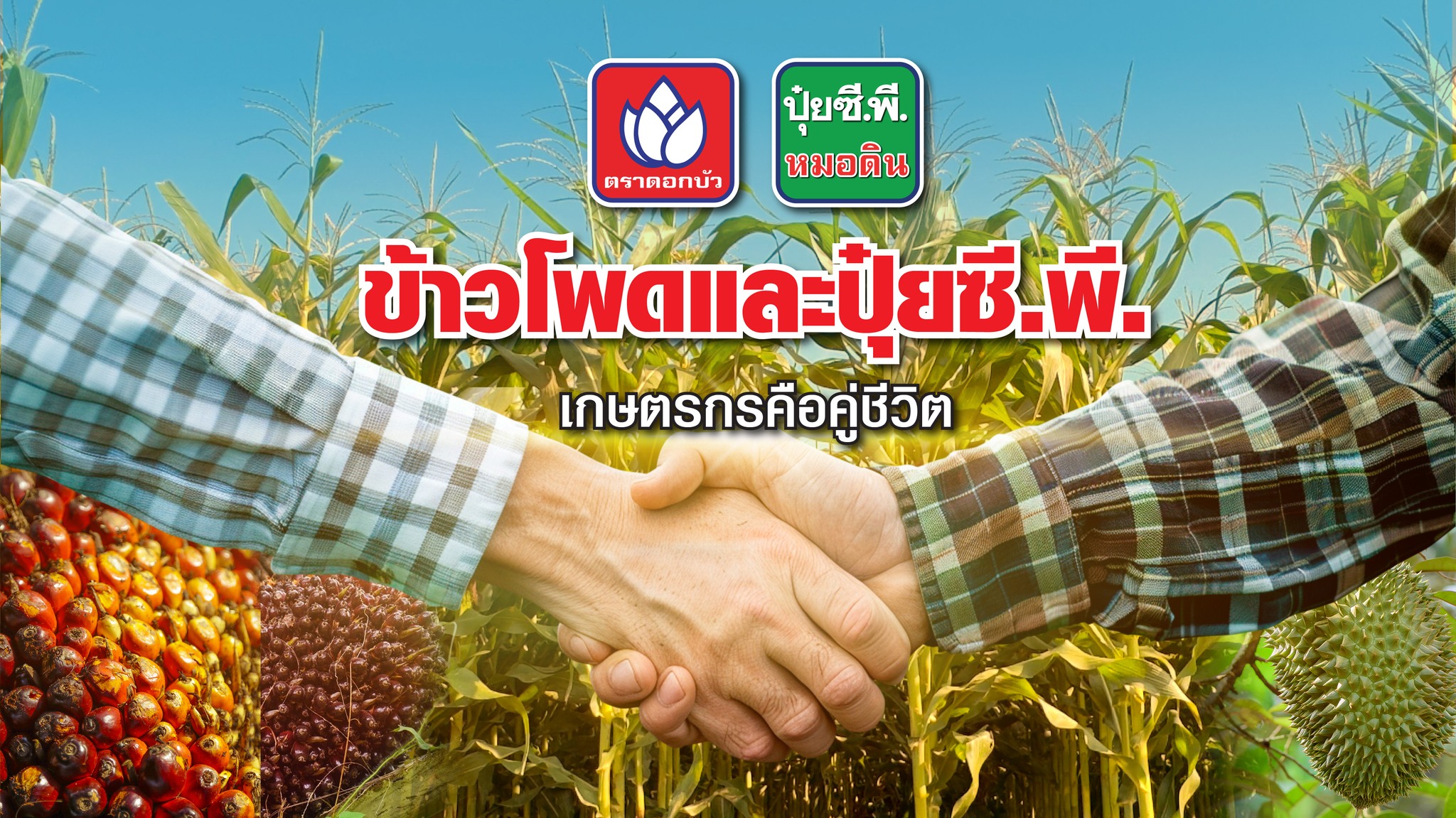 ยารา ประเทศไทย - Yara Thailand - ประโยชน์ของโบรอนที่มีต่อพืชผัก คือ ...