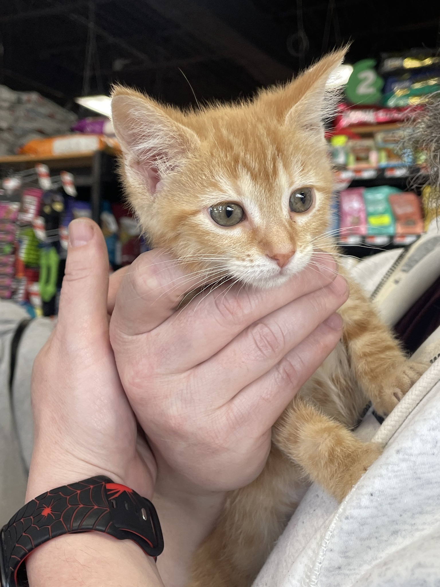 Pet Supplies Plus - Brownsburg, IN | Brownsburg IN