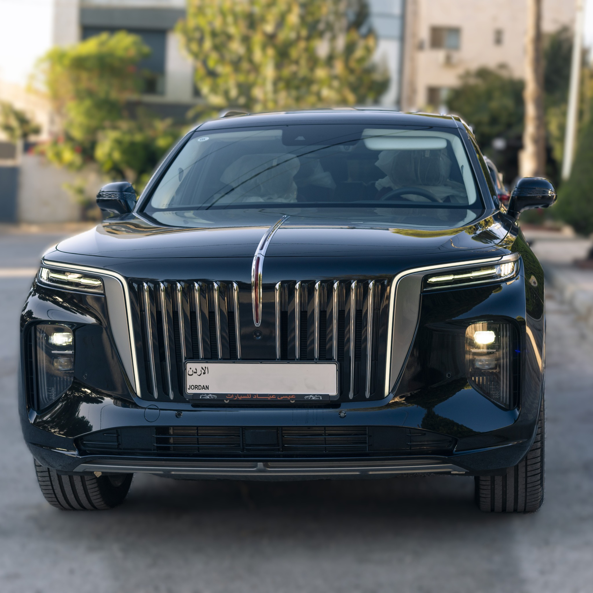 البحيرة الفضية العالمية لتجارة السيارات | Amman