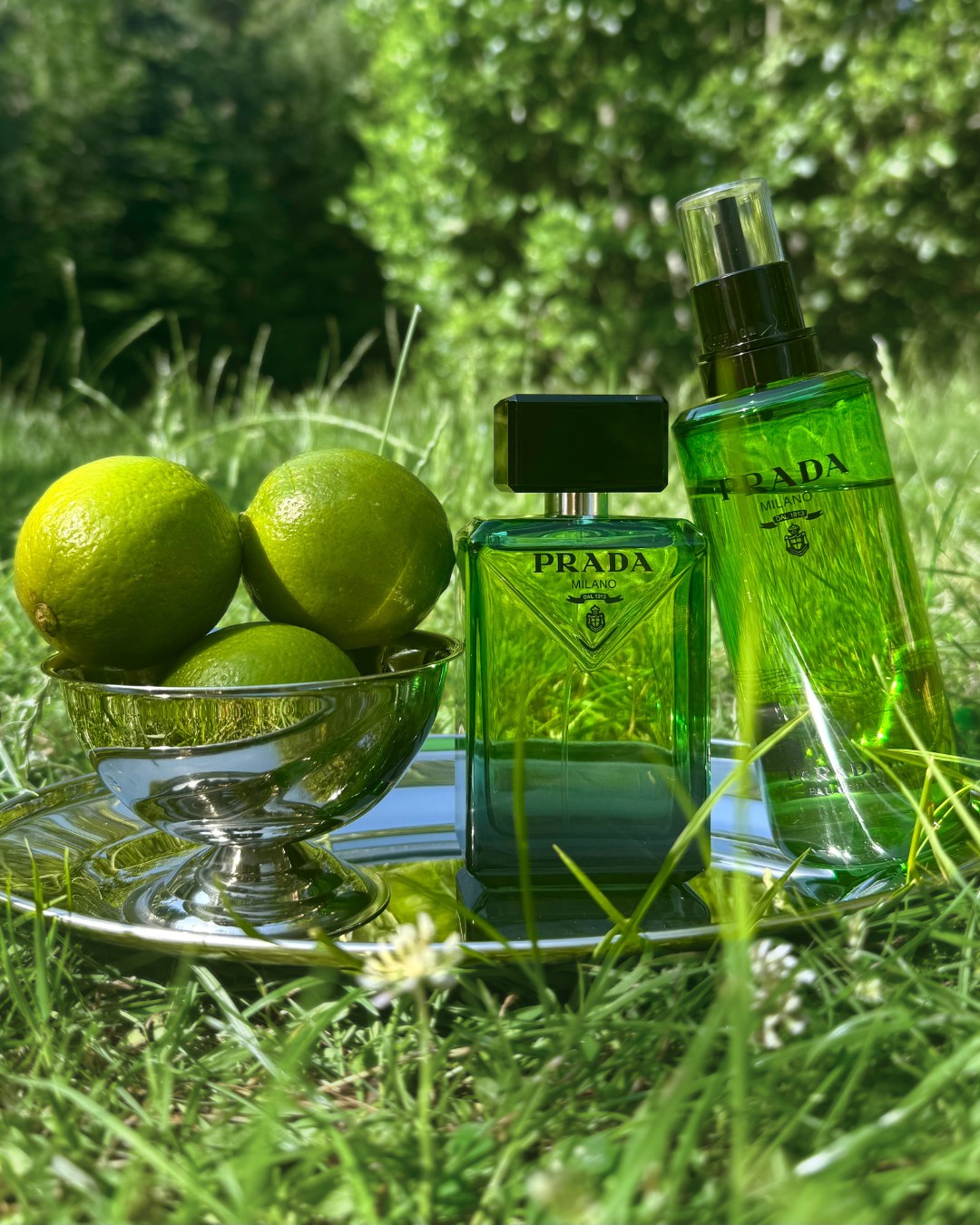 The Perfume - A fragrance full of mystery and energy ✨ Yves Saint