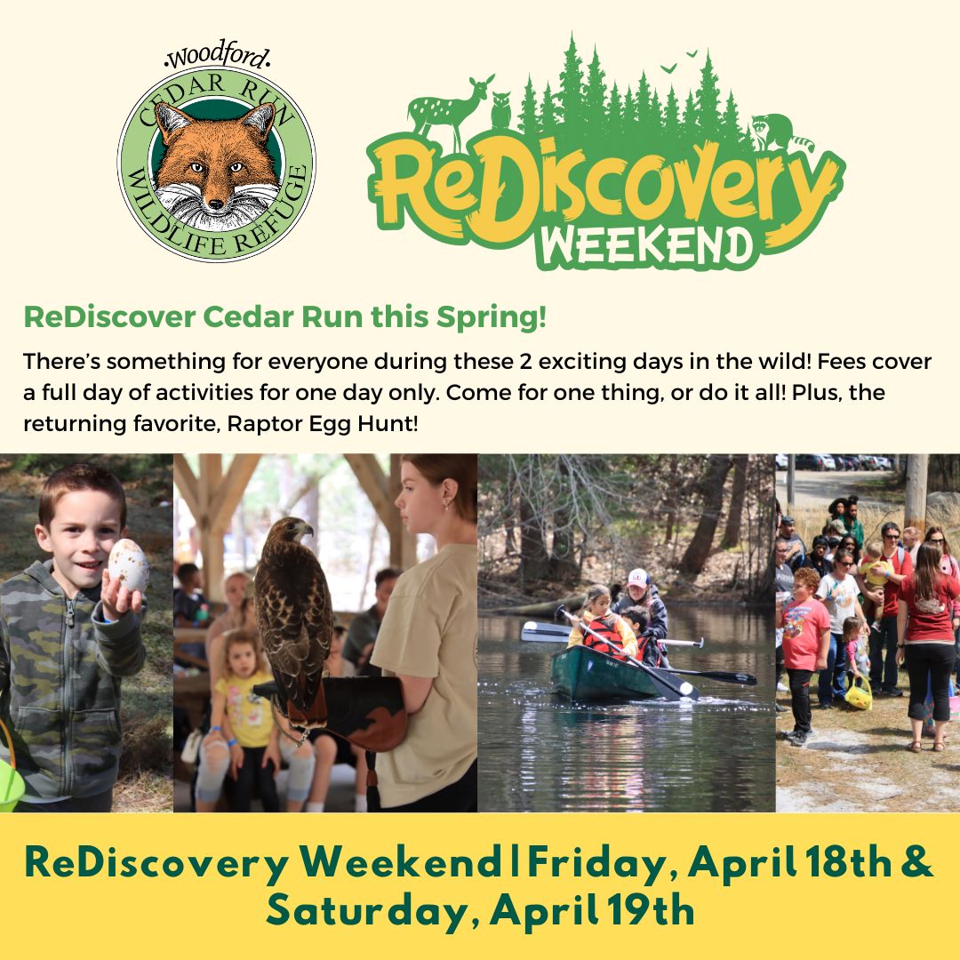 Woodford Cedar Run Wildlife Refuge | Medford NJ
