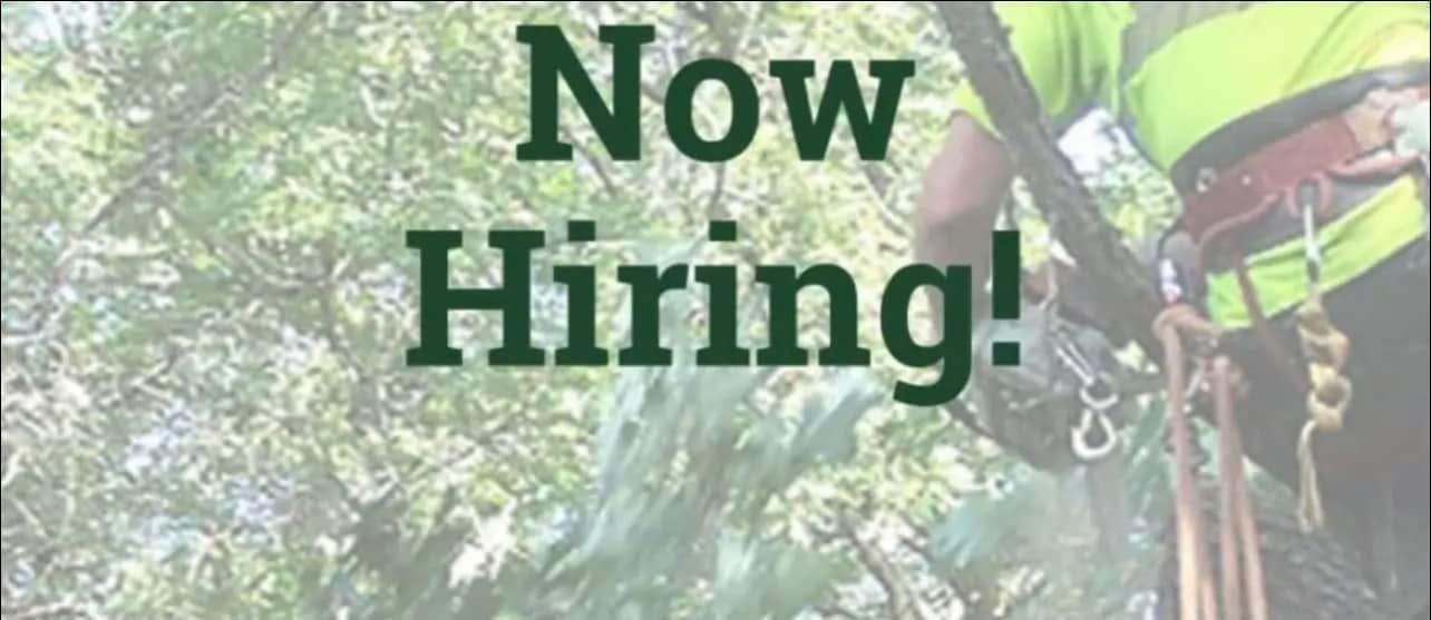 Emery Tree Service of PA, Inc.