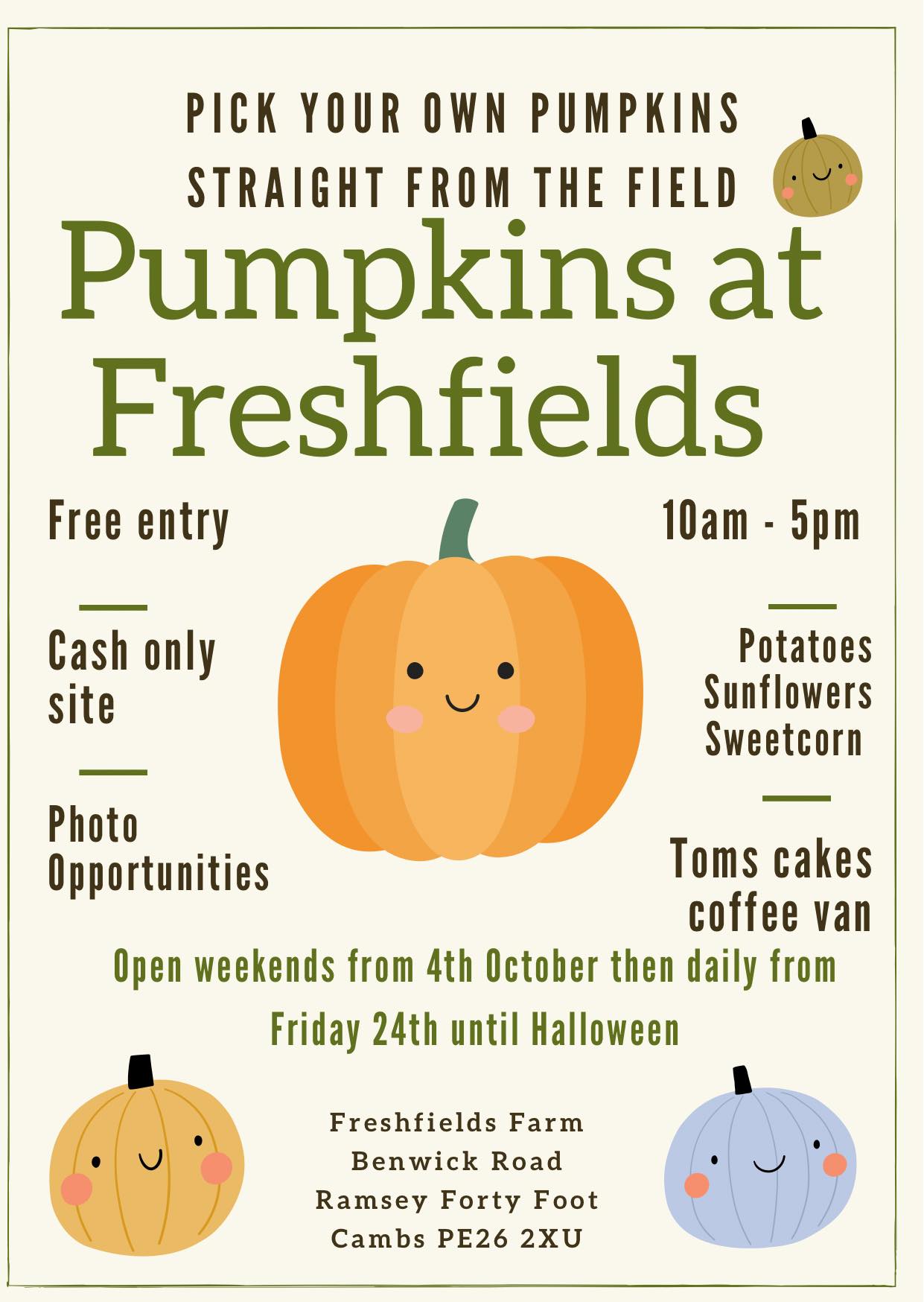 🎃 Pumpkin Picking at... - Pumpkins At Freshfields | Facebook