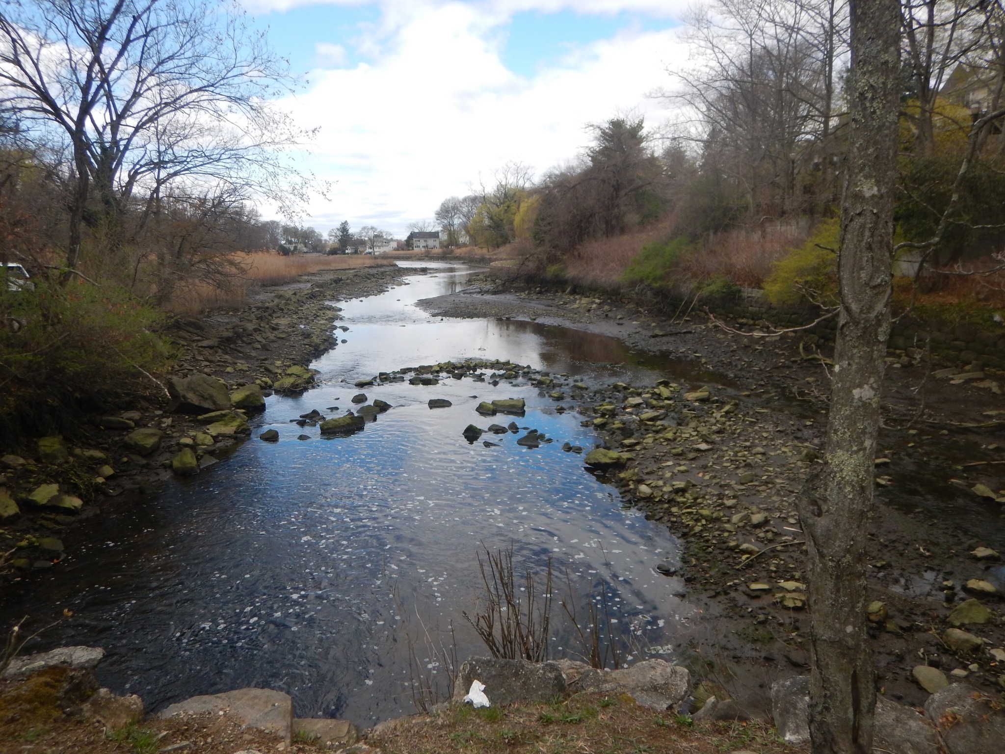 U.S. - 🌊 Where is the outfall field sampling inspection performed? The ...