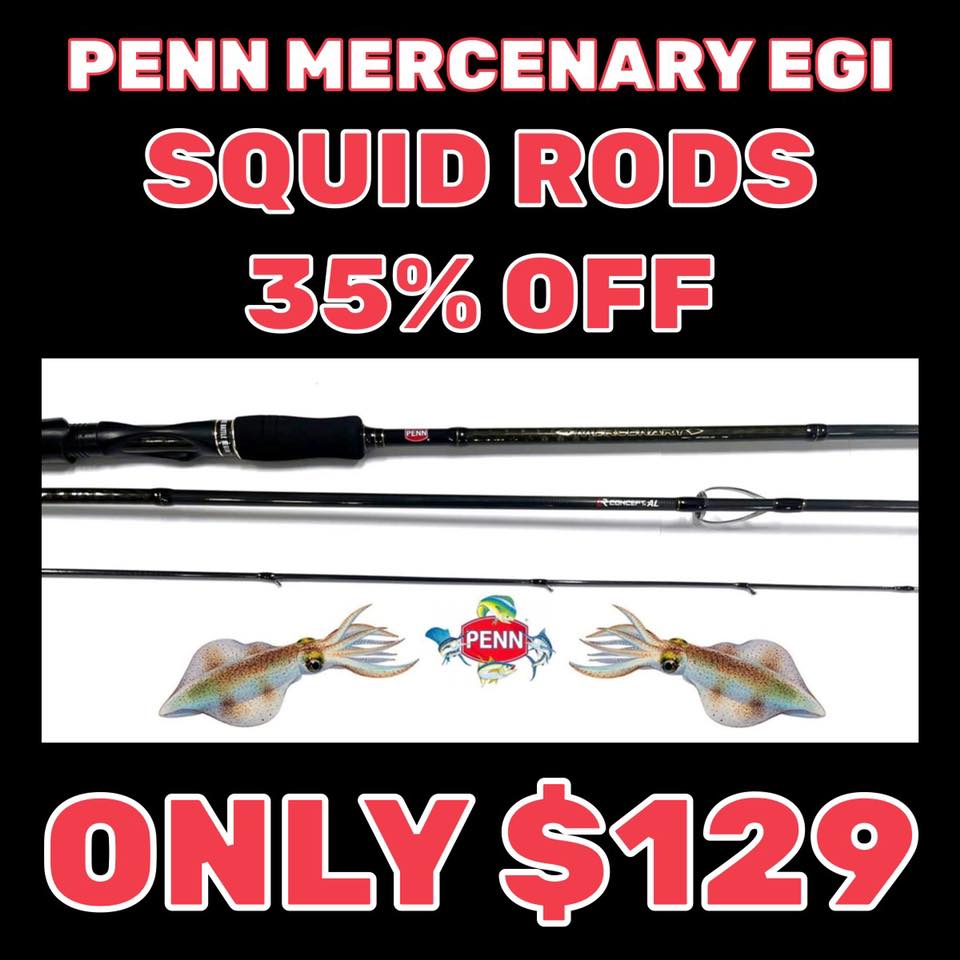 shimano catana egi squid rod Baitcaster Fishing Rods  Tackle World Whichever Catana you choose Shimano 25 Catana 8ft 2pc