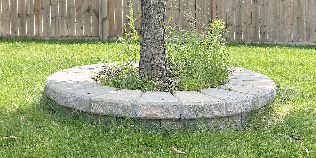 Town - 🌳 Did You Know? Changing your boulevard - like adding interlock ...