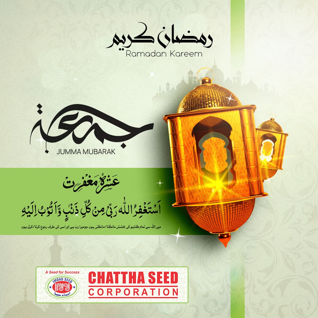 Chattha Seed Corporation | Vehari