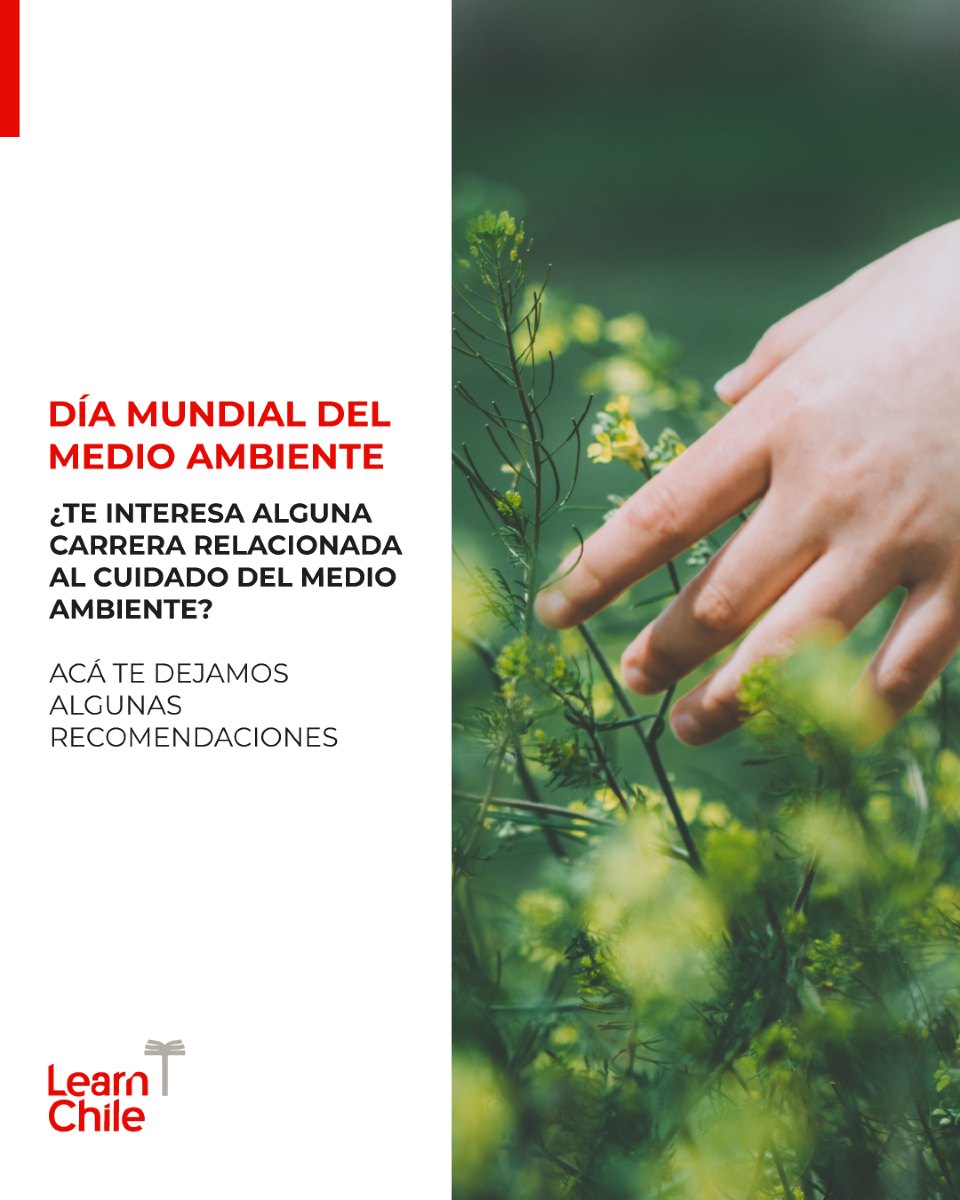 LearnChile - 🌍 Día Mundial del Medio Ambiente | 5 de junio Desde 1973 ...