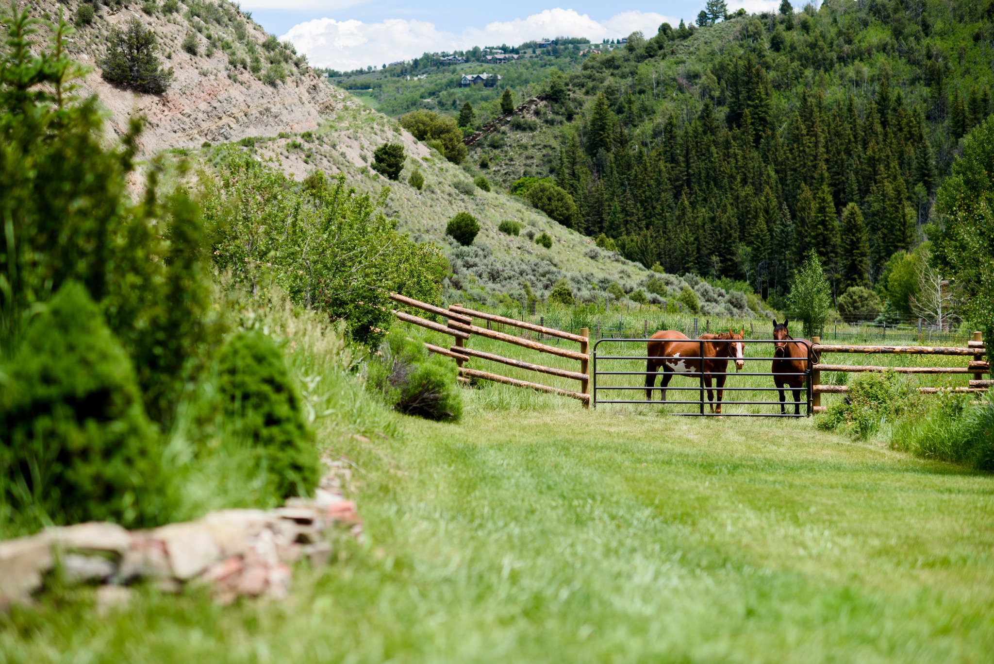 Copper Bar Ranch | Edwards CO