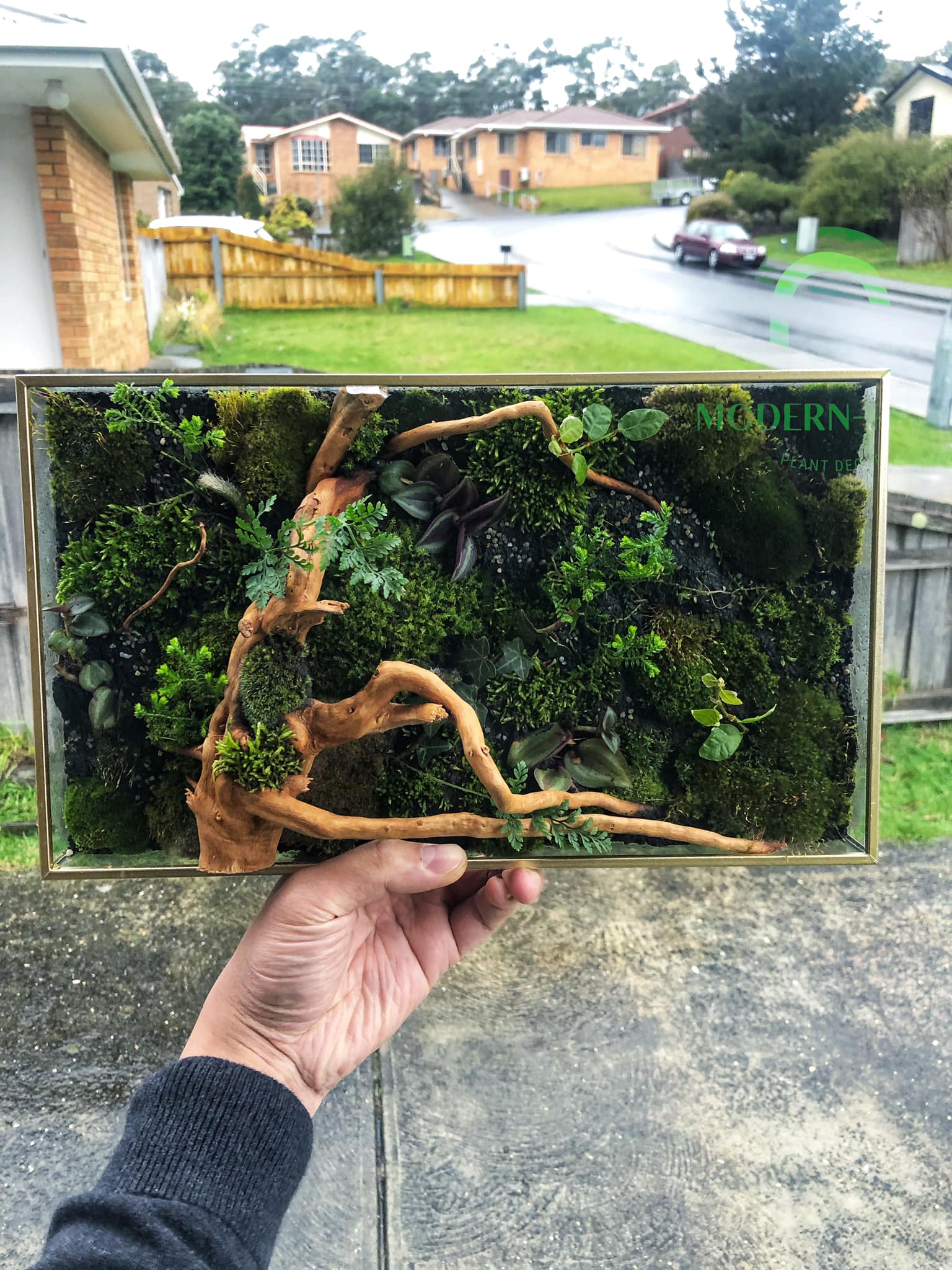 Modern-rium - This one is up for sale: “The living... | Facebook