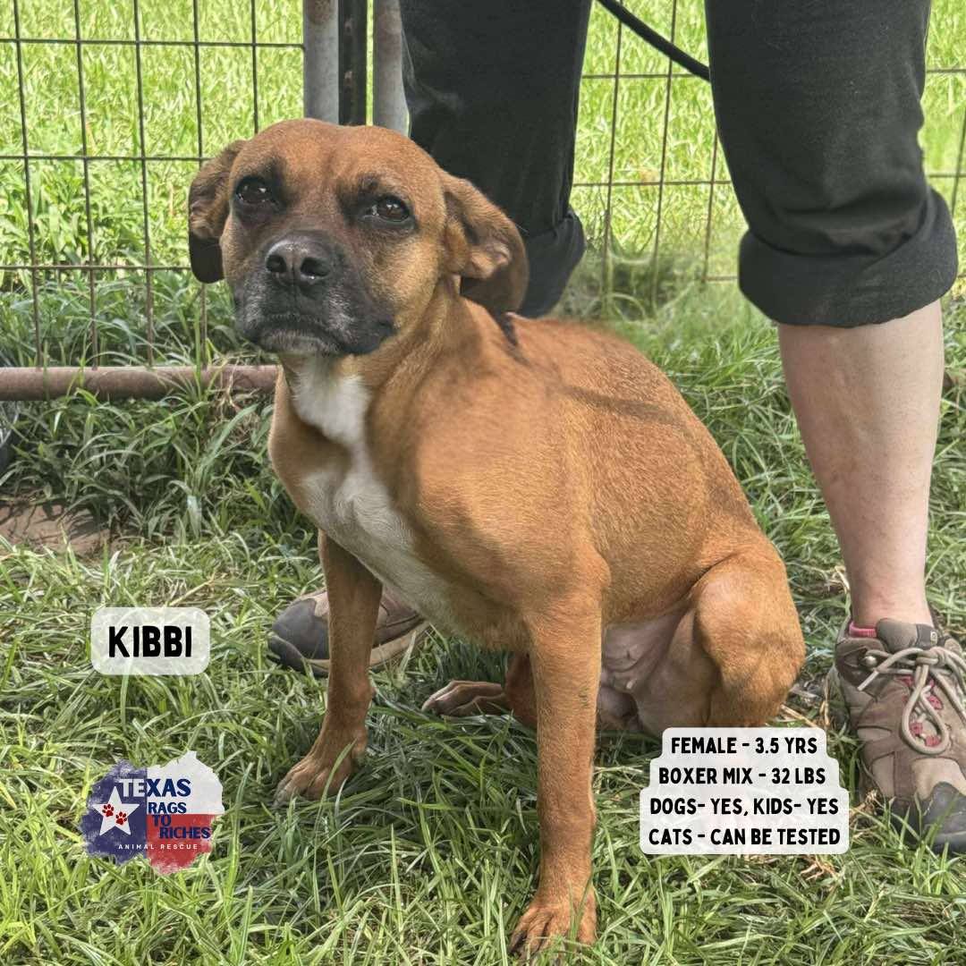 T... - Texas Rags To Riches Rescue - Atlantic Canada Adoptions