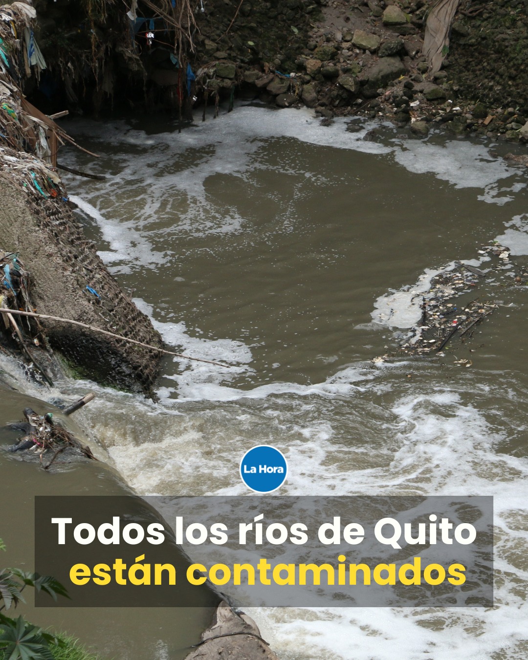 Diario La Hora - Los siete ríos 🌊 que pasan por Quito... | Facebook