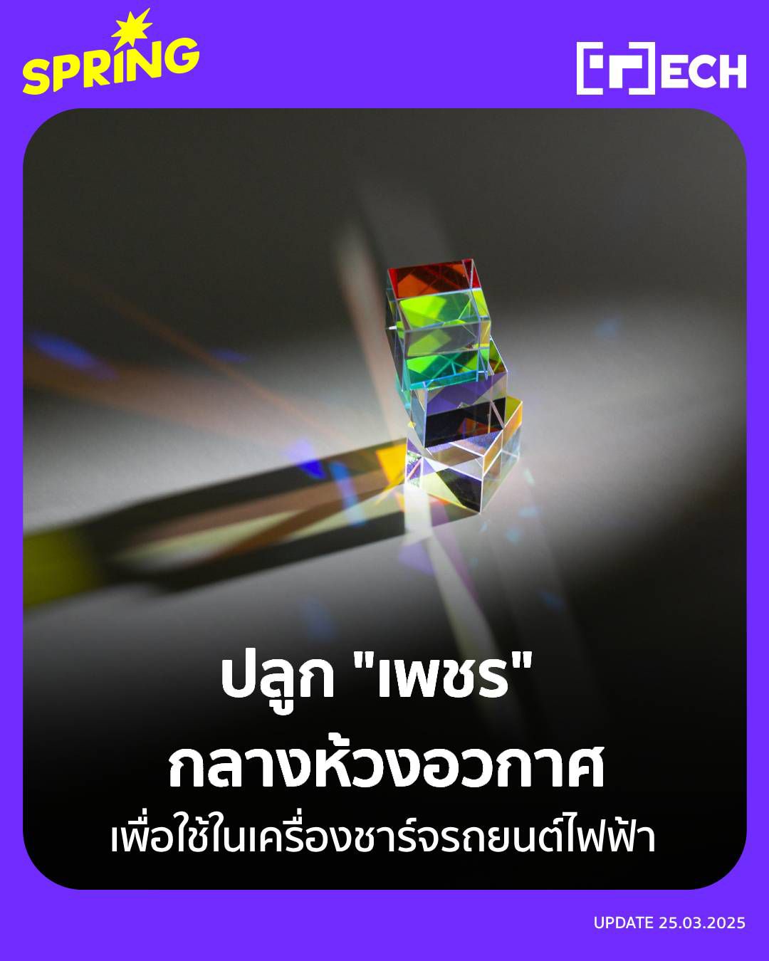 SpringNews - ปลูก 