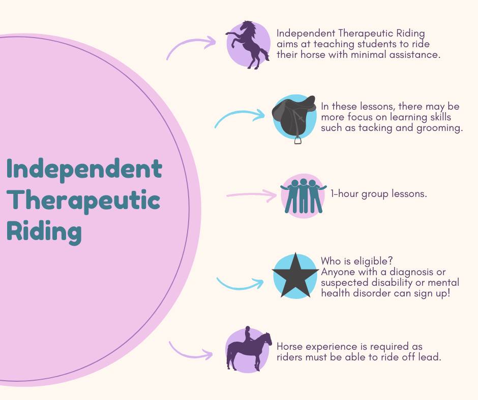 The Equestrian Therapy Program | Cridersville OH