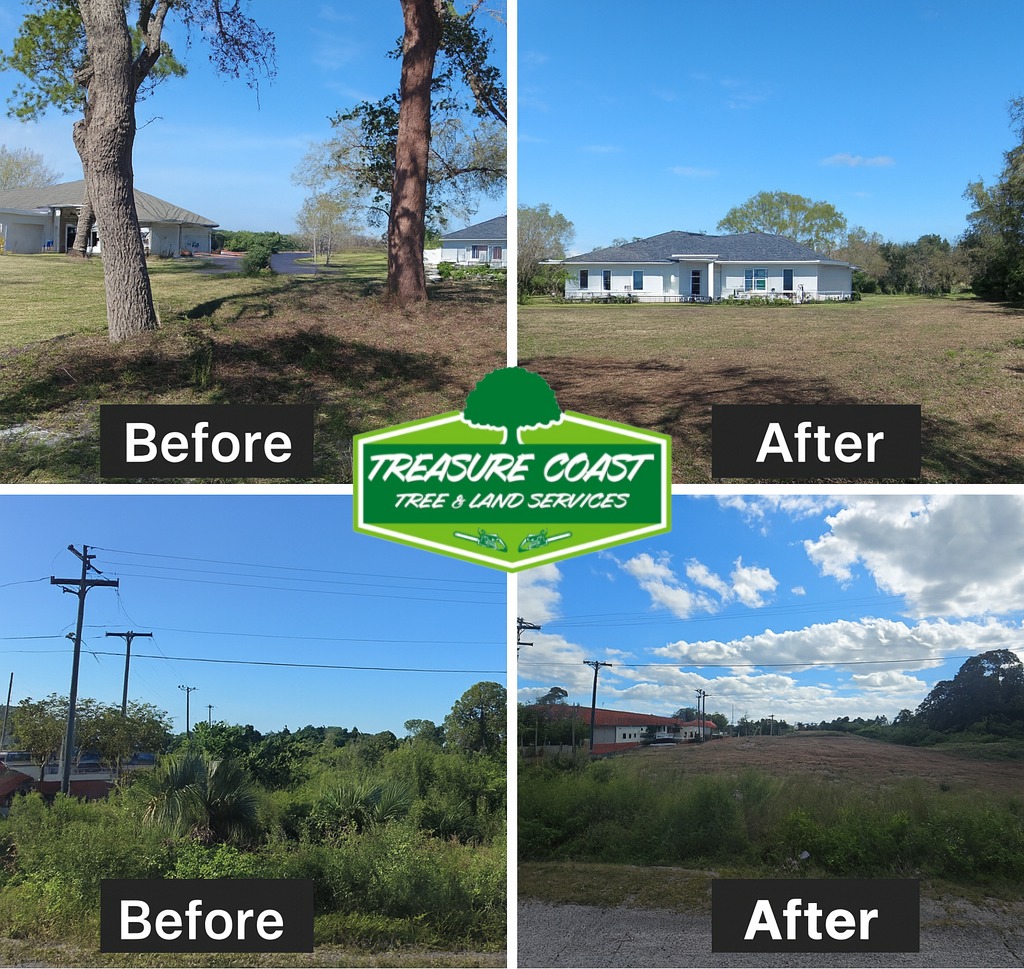 Treasure Coast Tree & Land Services | Vero Beach FL