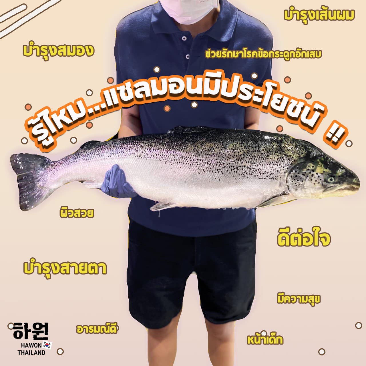 💡รู้ไหม...แซลมอนมีประโยชน์มากๆเลยนะ... - Hawon Thailand - 하원식당 | Facebook