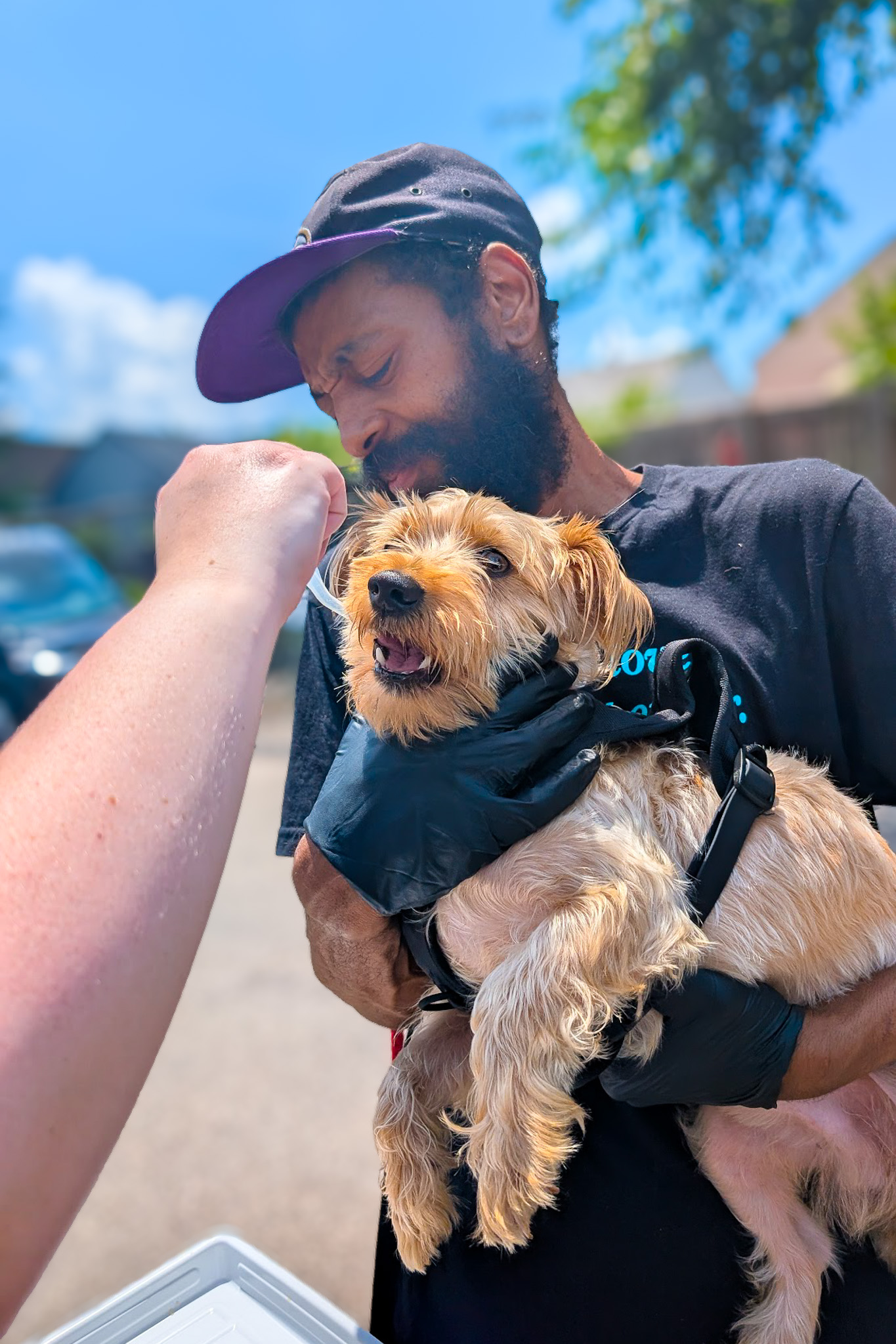 Image showcasing Cincinnati - 𝐑𝐄𝐌𝐈𝐍𝐃𝐄𝐑: 𝐓𝐎𝐌𝐎𝐑𝐑𝐎𝐖! 🐾 Low-Cost Dog Vaccine & Microchip ...