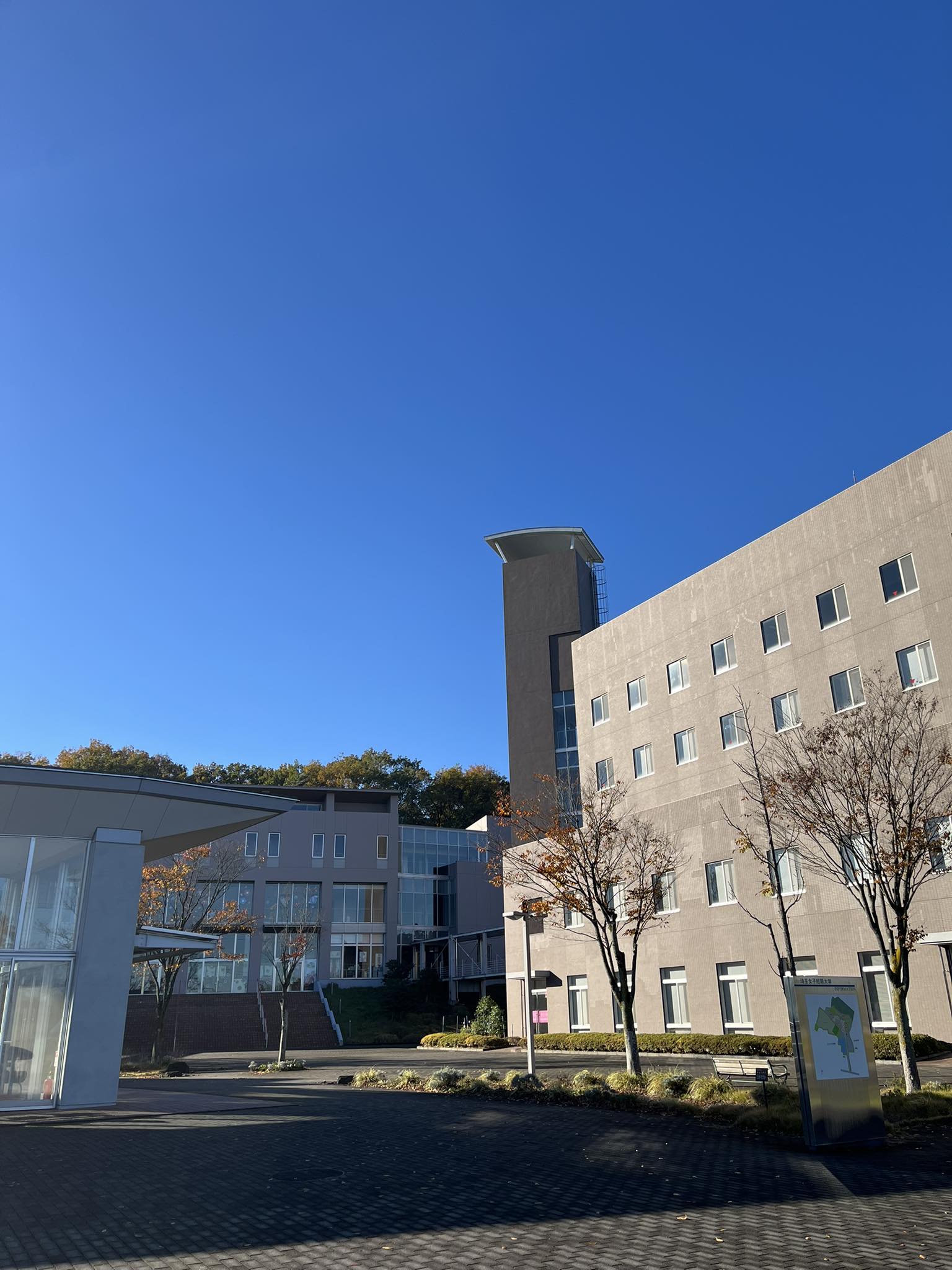 埼玉 女子 短期 大学