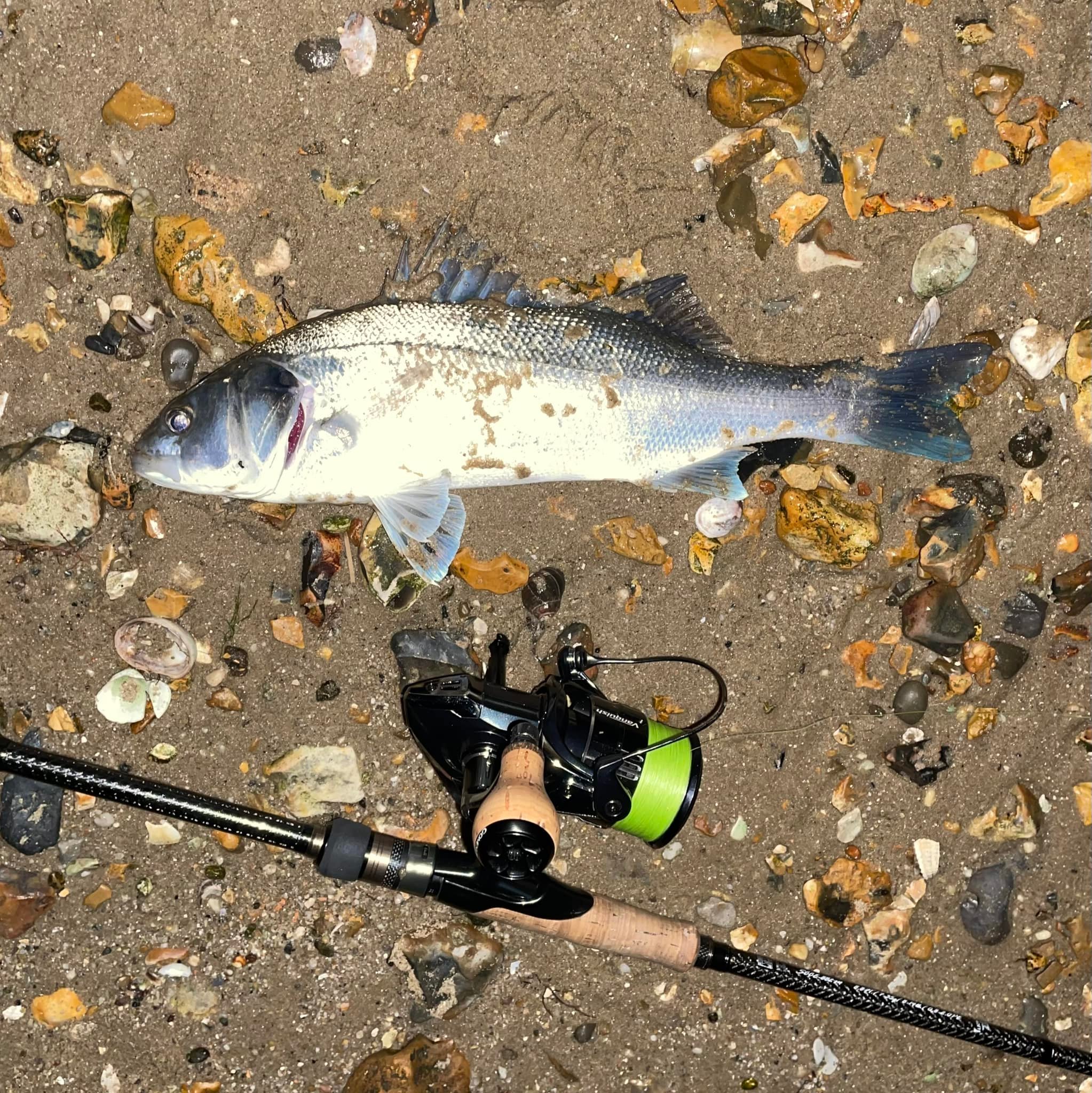 field and stream fishing lures The Total Manual (Field & Stream): 317 Essential Fishing Skills ( Stream): Cermele, Joe, Field and Magazine, The Editors of: 9781616284879 Books rainbow glitter Color:Fire Perch (TRO Exclusive) Beads Salmon Egg Fishing Live Bait Hooks