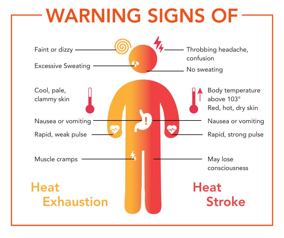 City - It is important to know the signs of heat exhaustion and heat ...