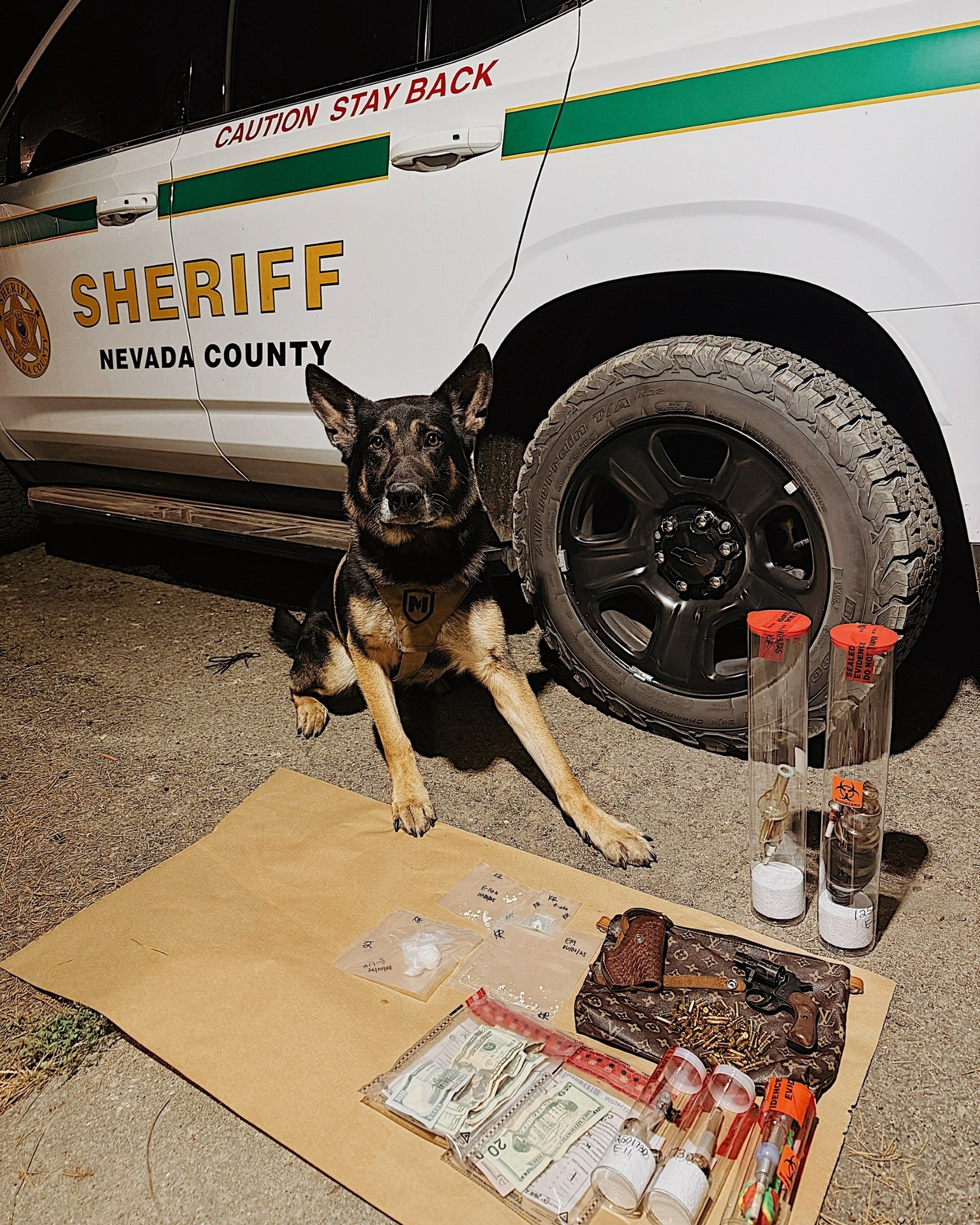 Nevada - Media Release: K9 Search Leads to Arrests and Seizure of ...
