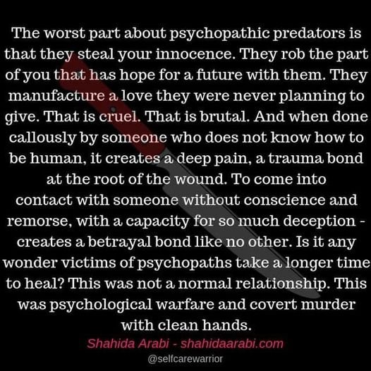 NARCISSIST OR PSYCHOPATH….THE DARK TRIAD/TETRAD PERSONALITY....I was ...