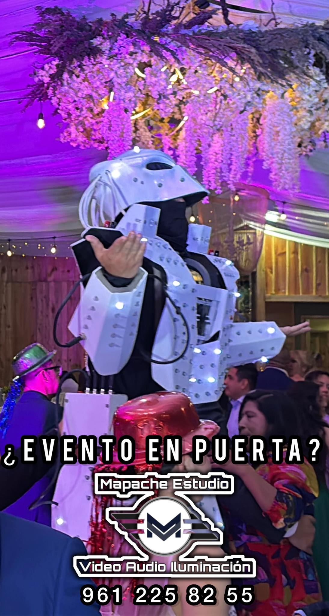 Mapache - Boda, 15 Años, cumpleaños, eventos corporativos, escolares, o ...