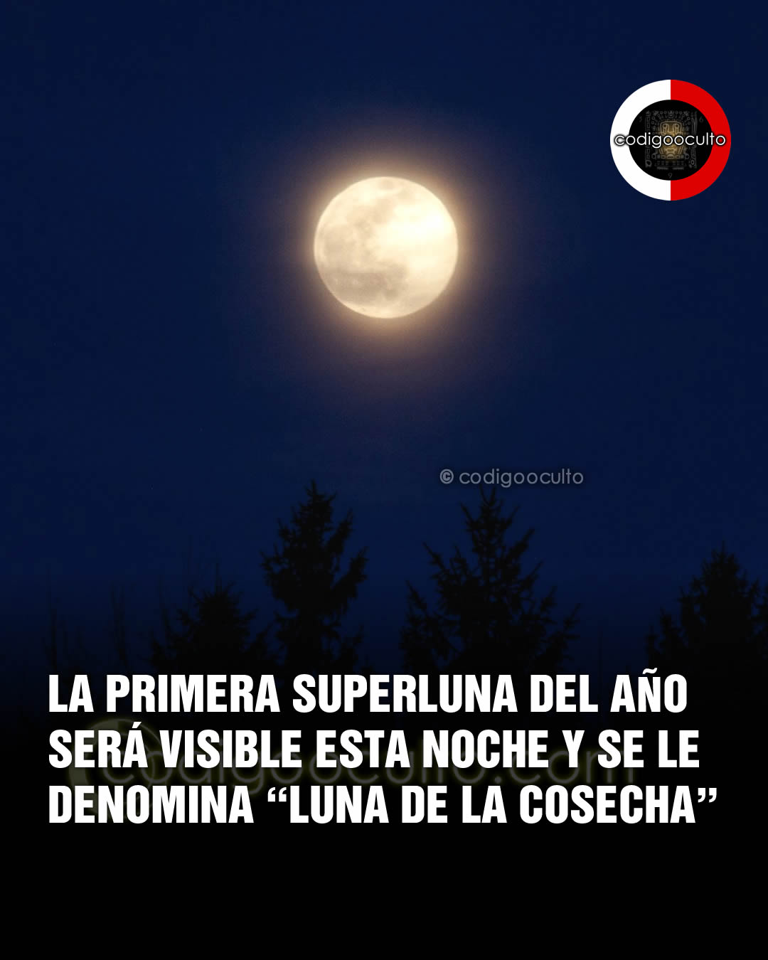 CODIGO OCULTO - Durante la noche del 6 al 7 de octubre de... | Facebook