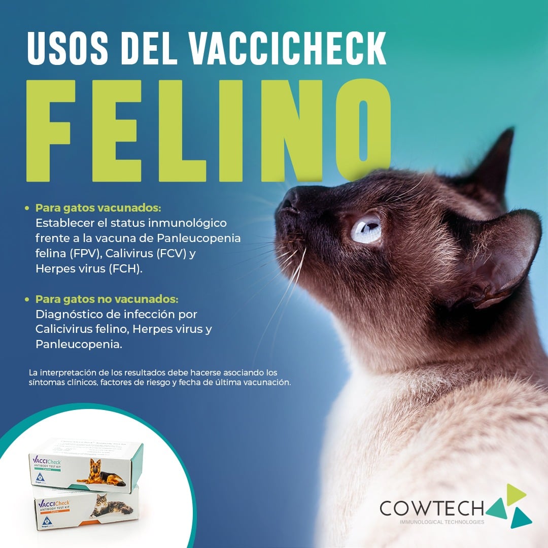 Cowtech - 🙀😺🐈 Escribenos para conocer como implementar...