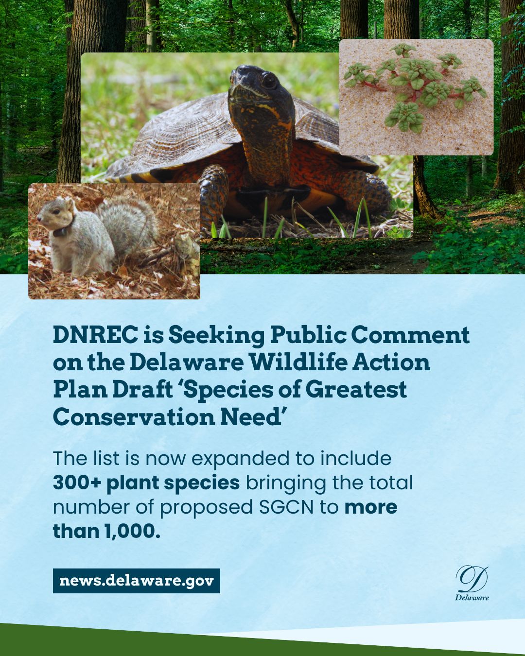 📣 Help shape the future... - State of Delaware - Government | Facebook