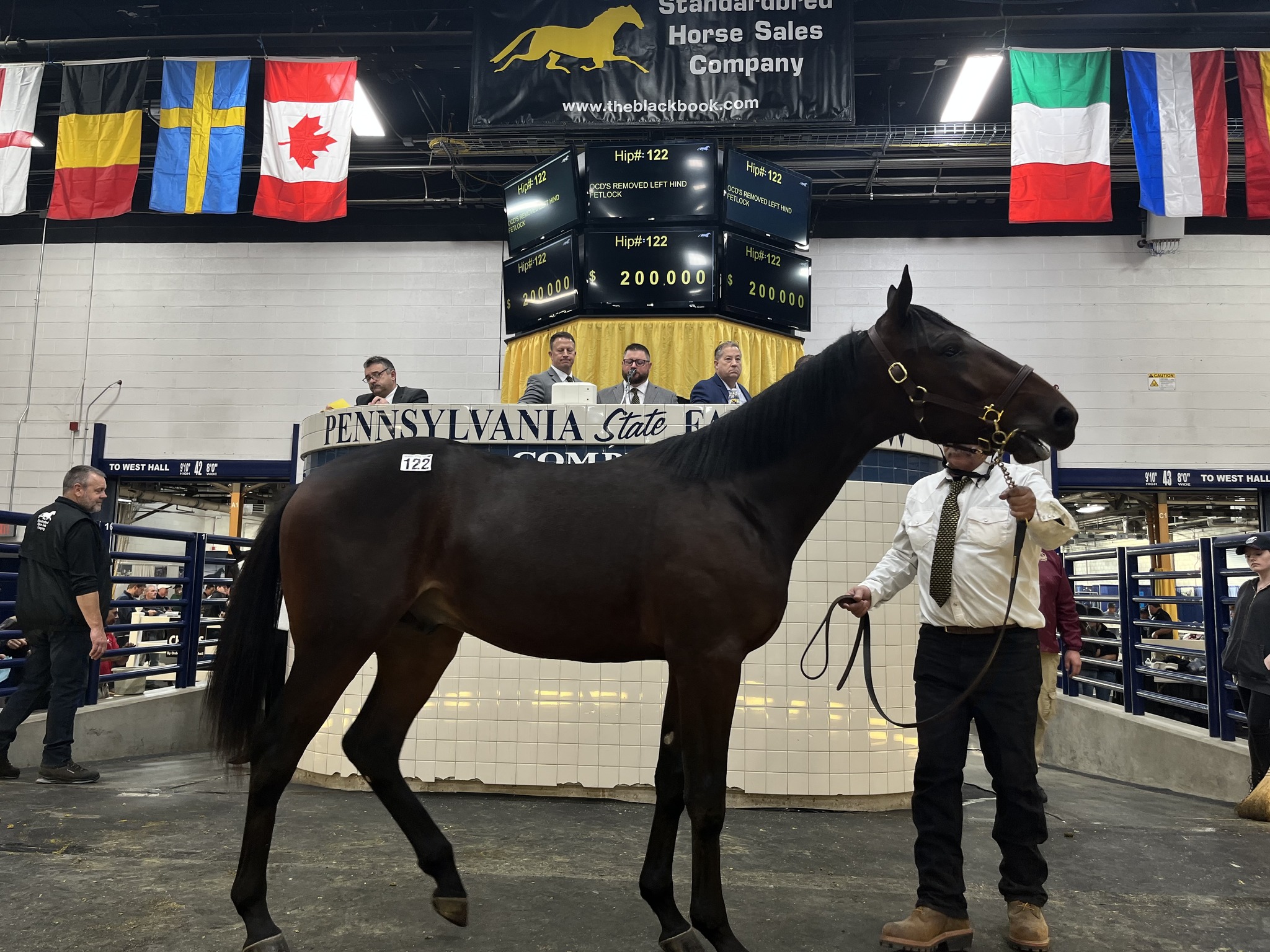 Standardbred Horse... - Standardbred Horse Sales Company