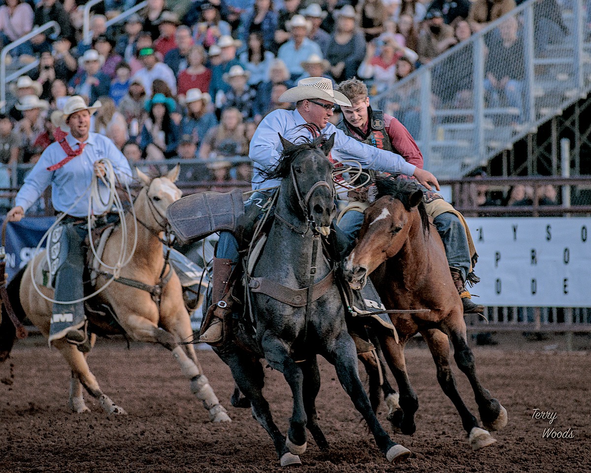 Payson Pro Rodeo