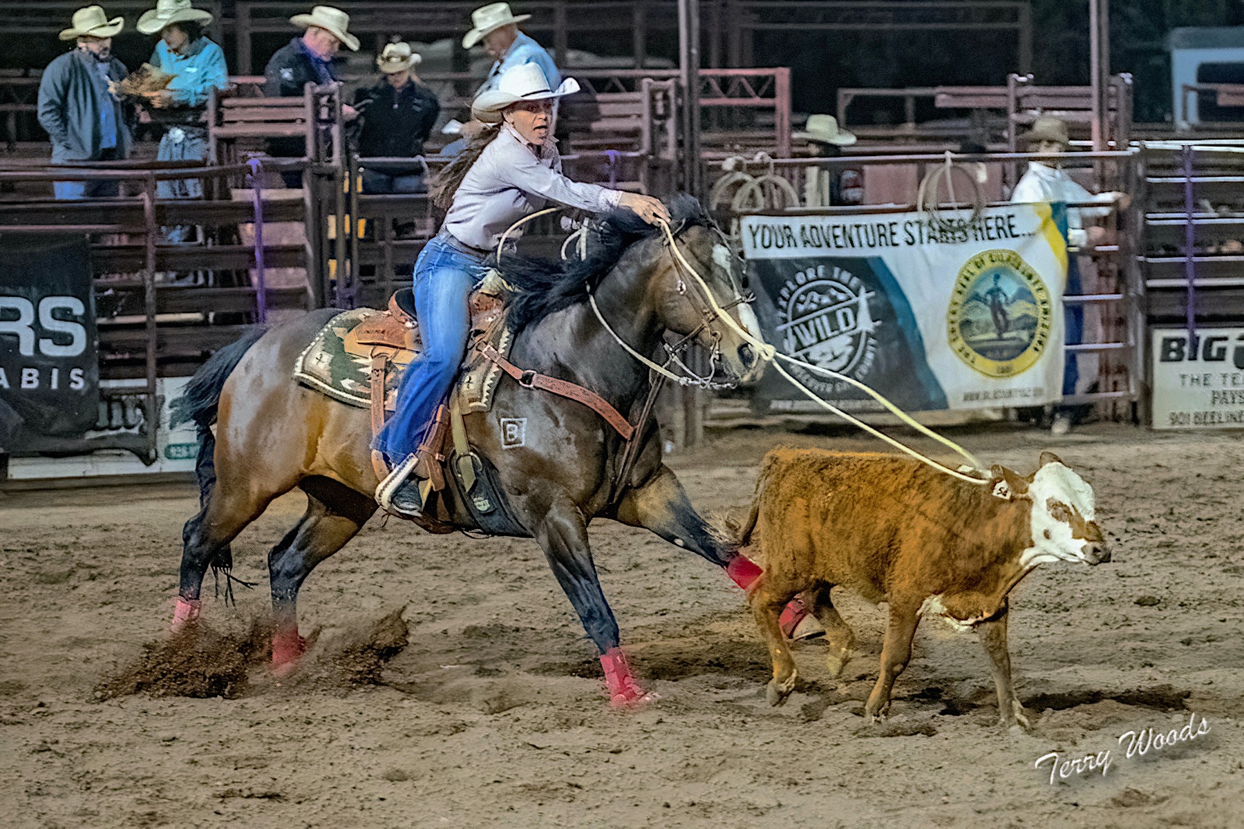 Payson Pro Rodeo