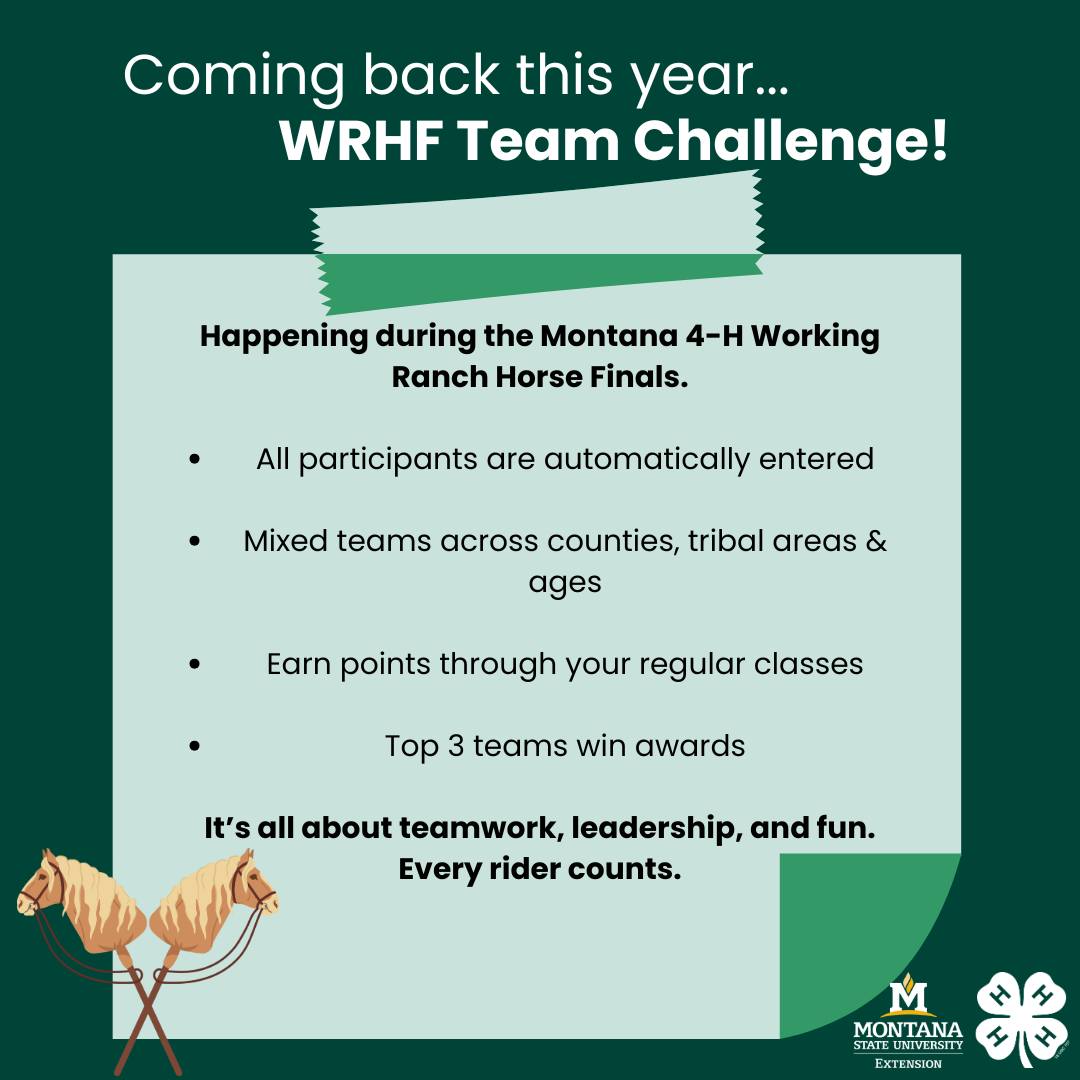Flathead County 4-H... - Flathead County 4-H Horse Project