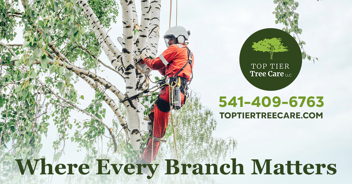 Top Tier Tree Care LLC | Jefferson OR