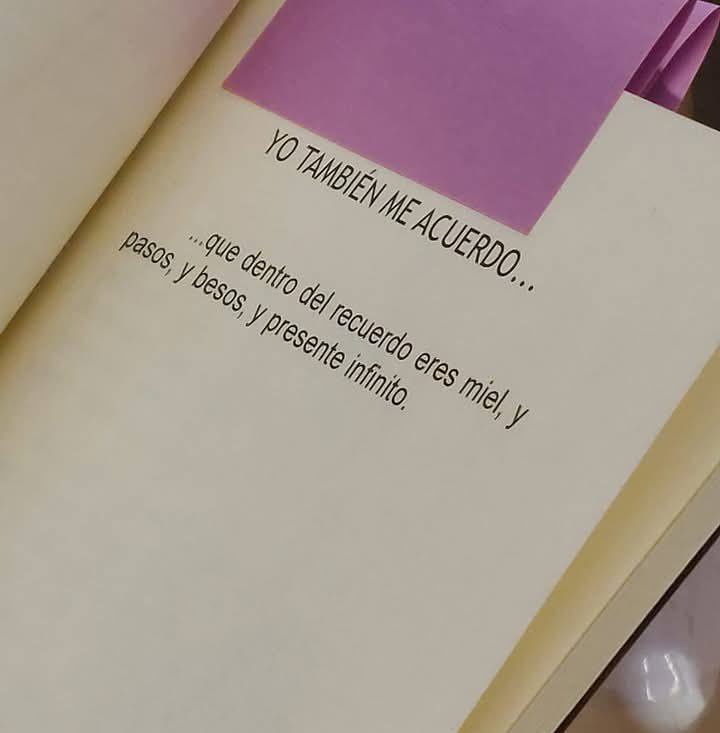 Alicia Romo Escritora