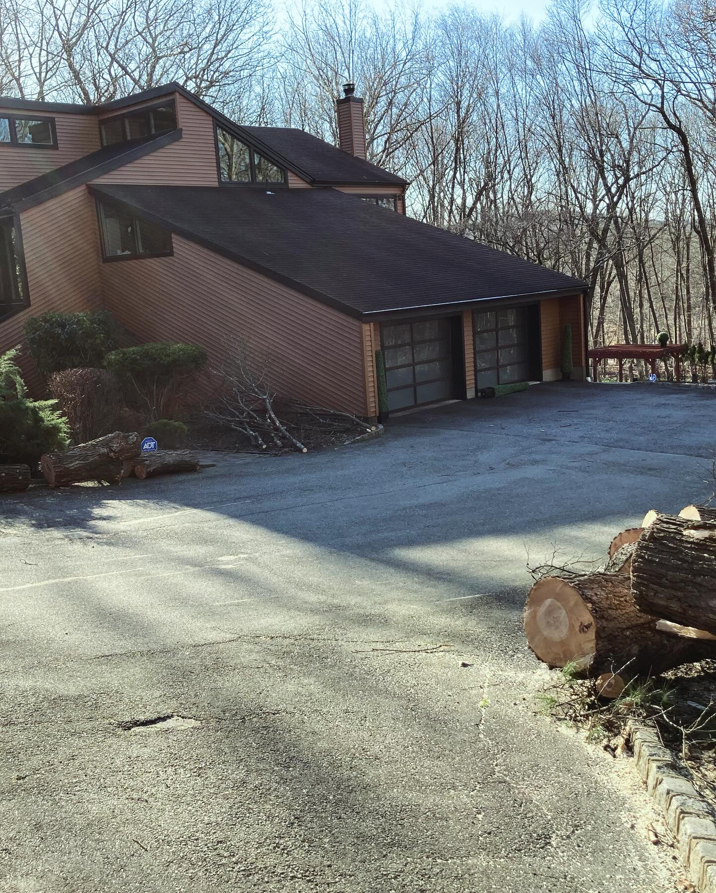 Tree Ninja | Wanaque NJ